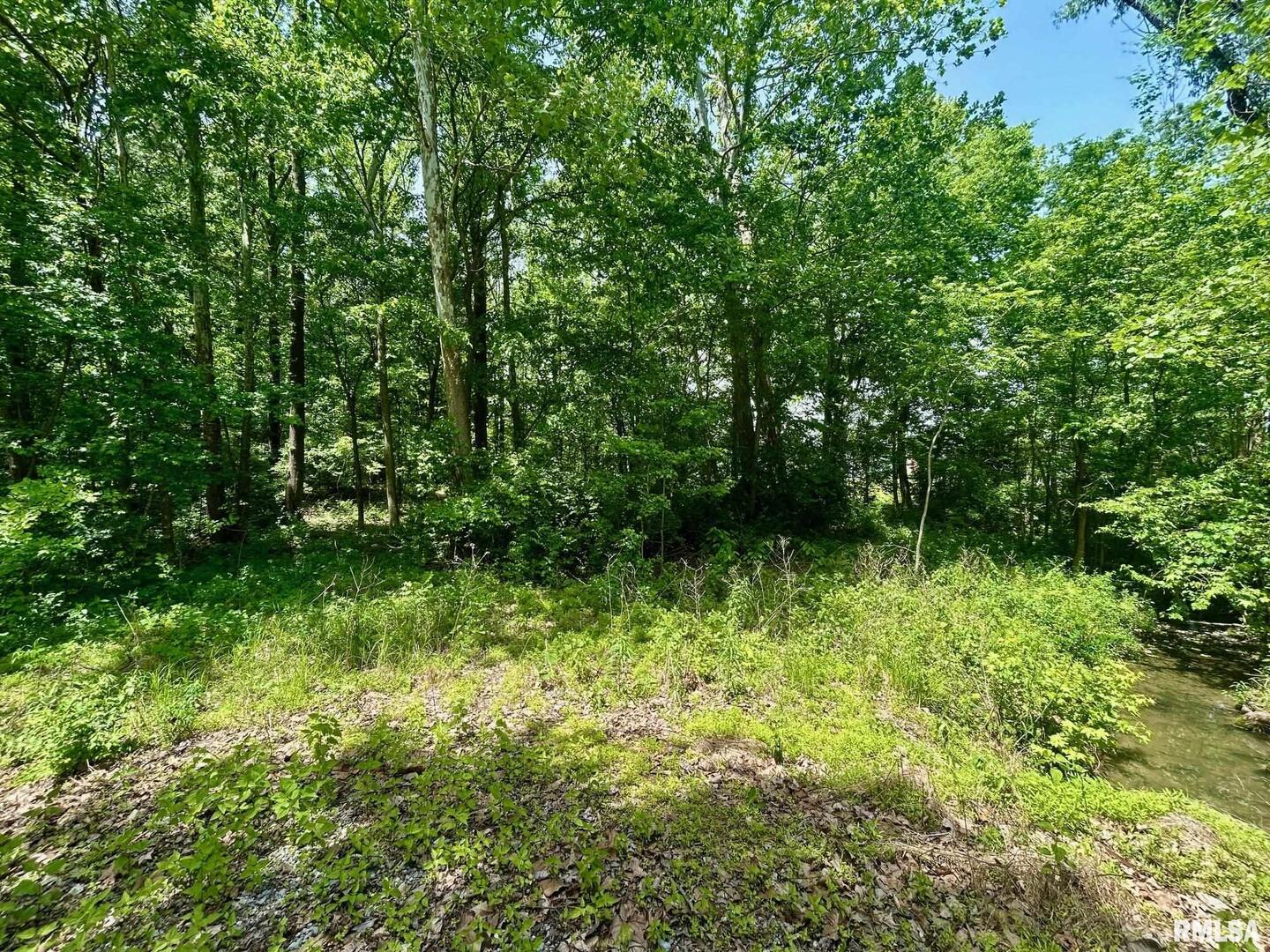 main property photo 9