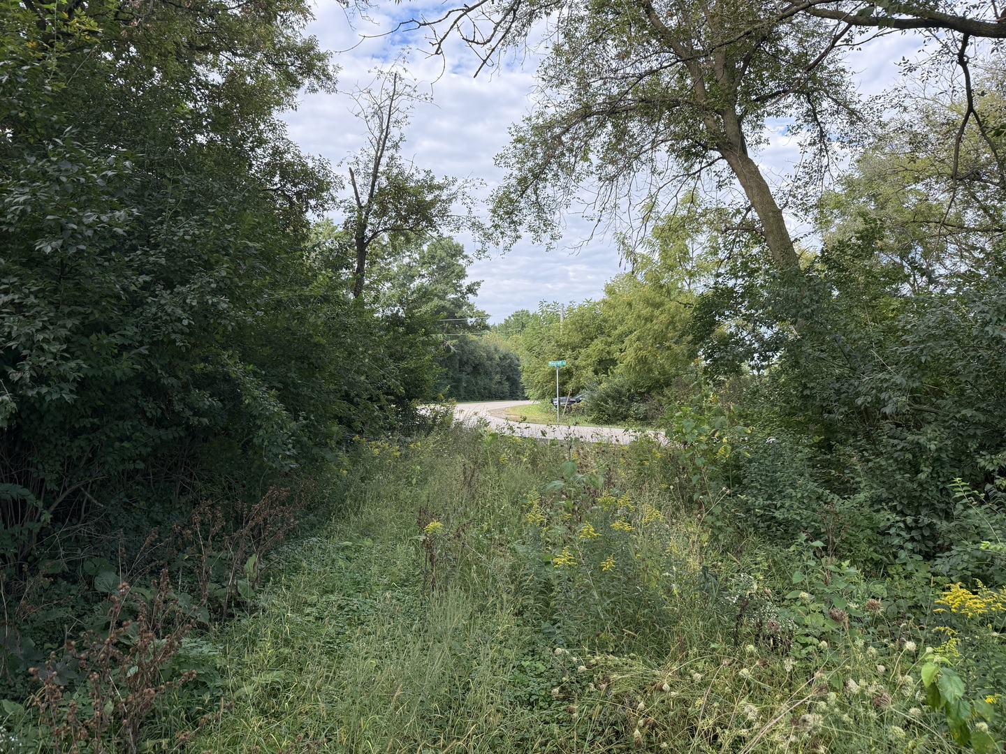 main property photo 13