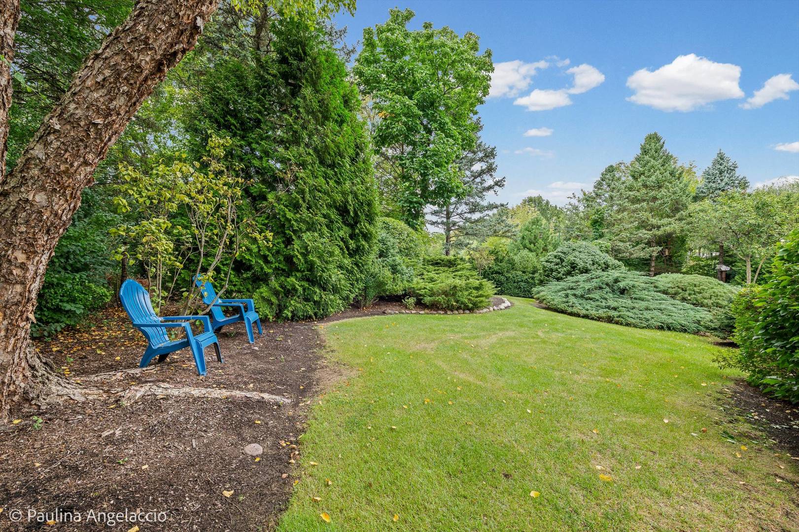 main property photo 46