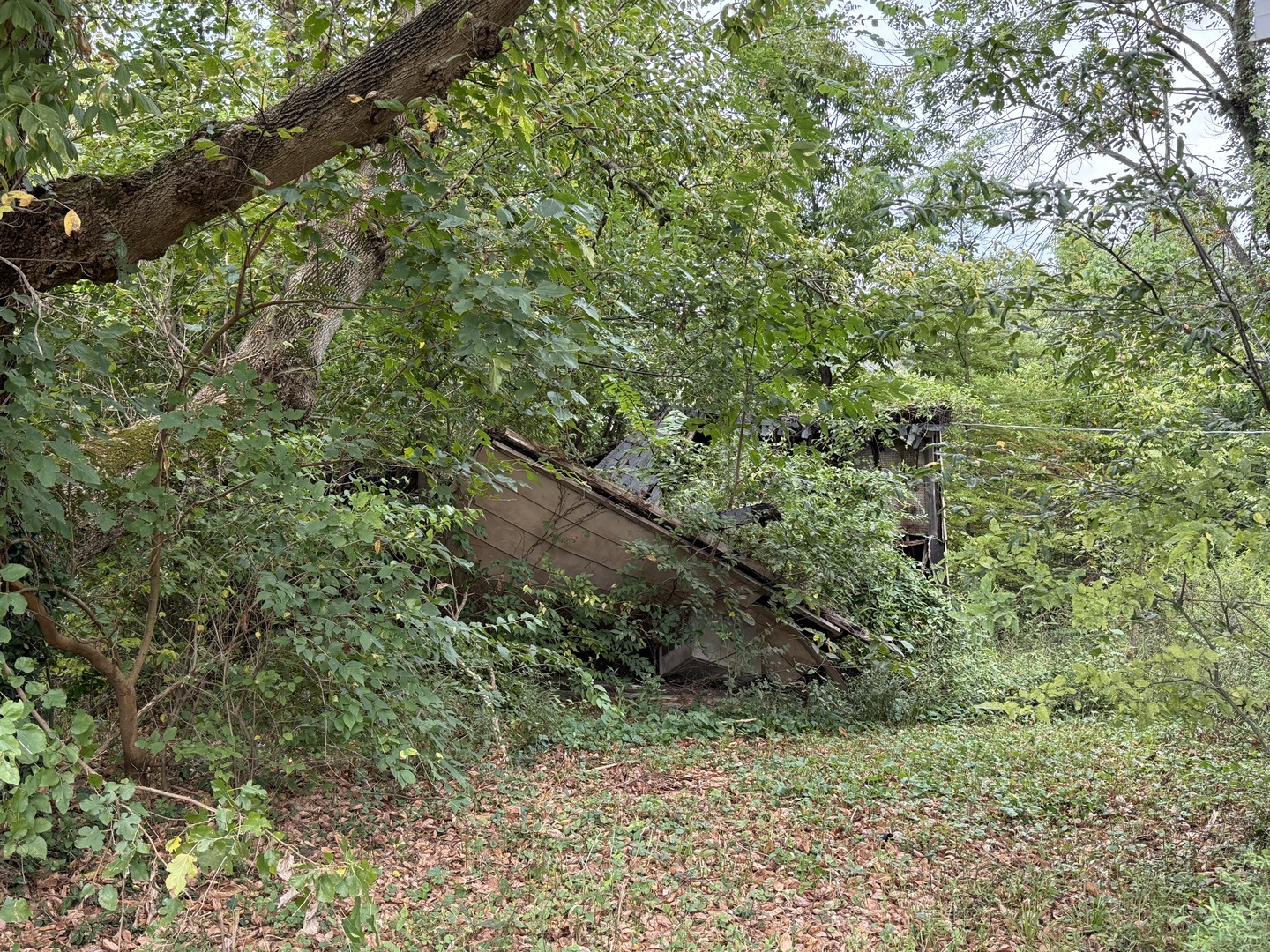 main property photo 10