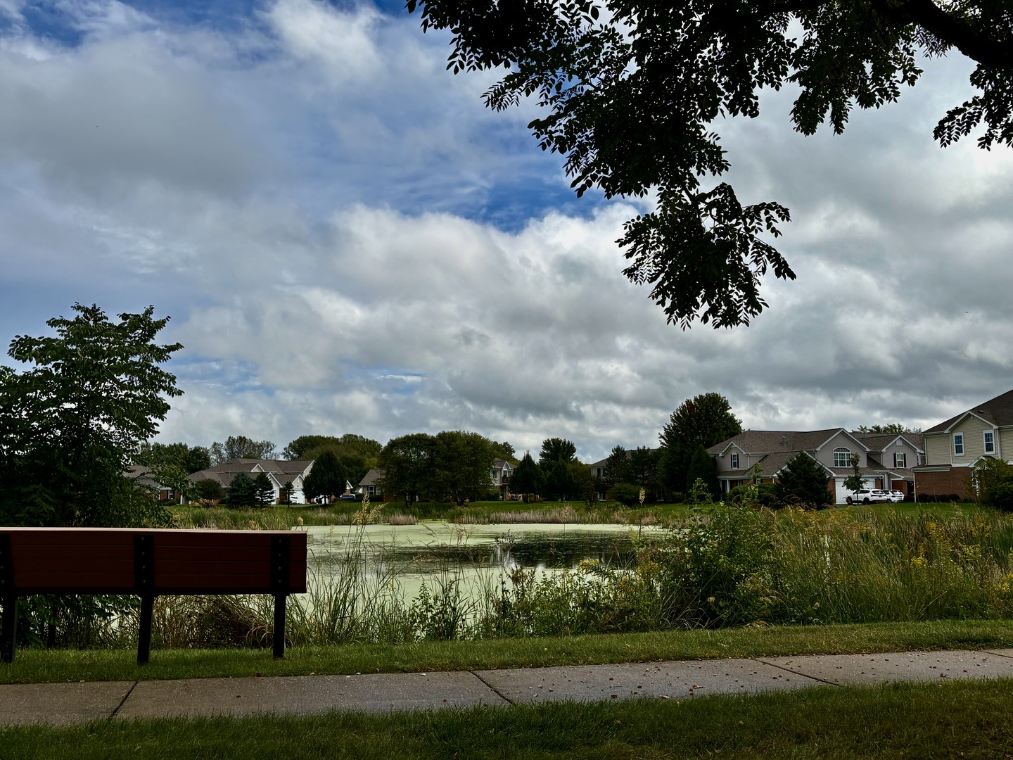 main property photo 18