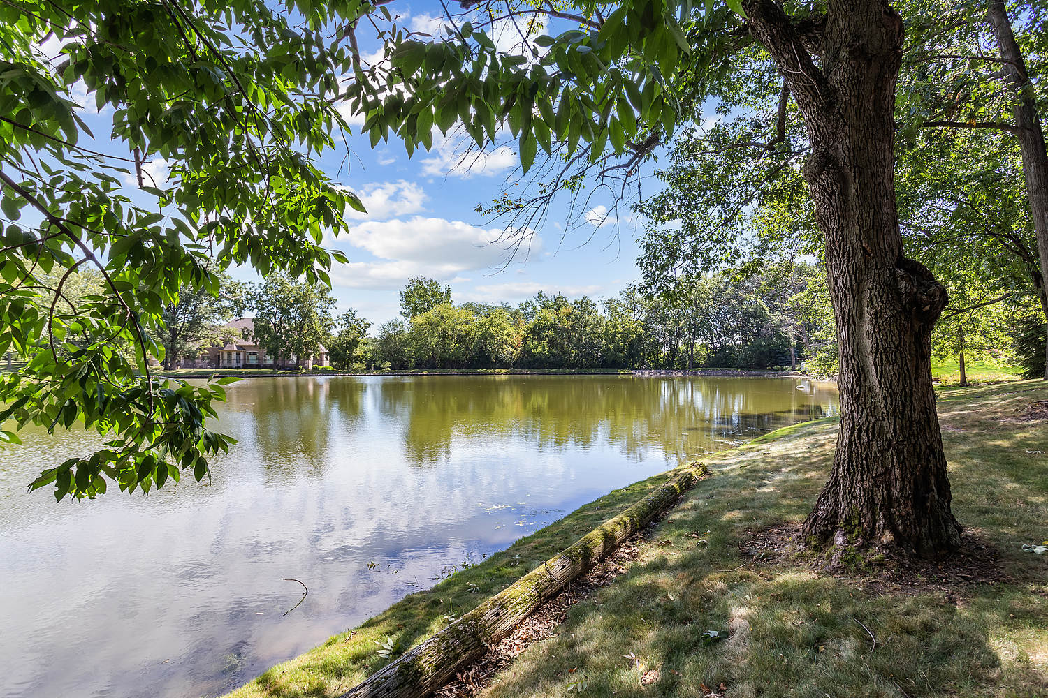 main property photo 27