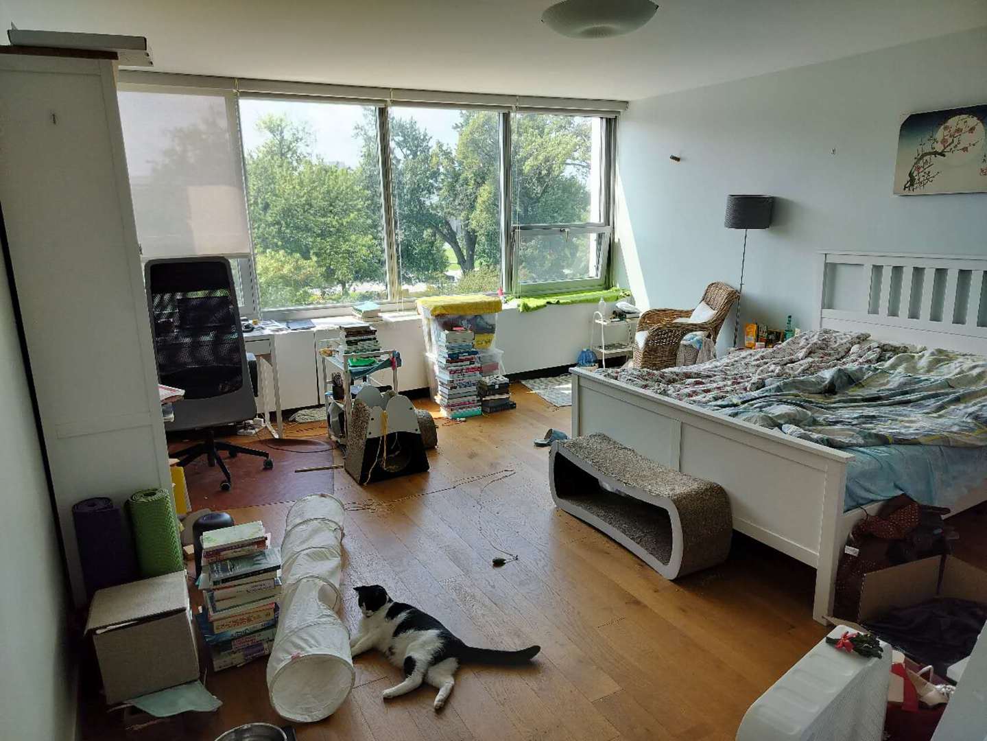 main property photo 7