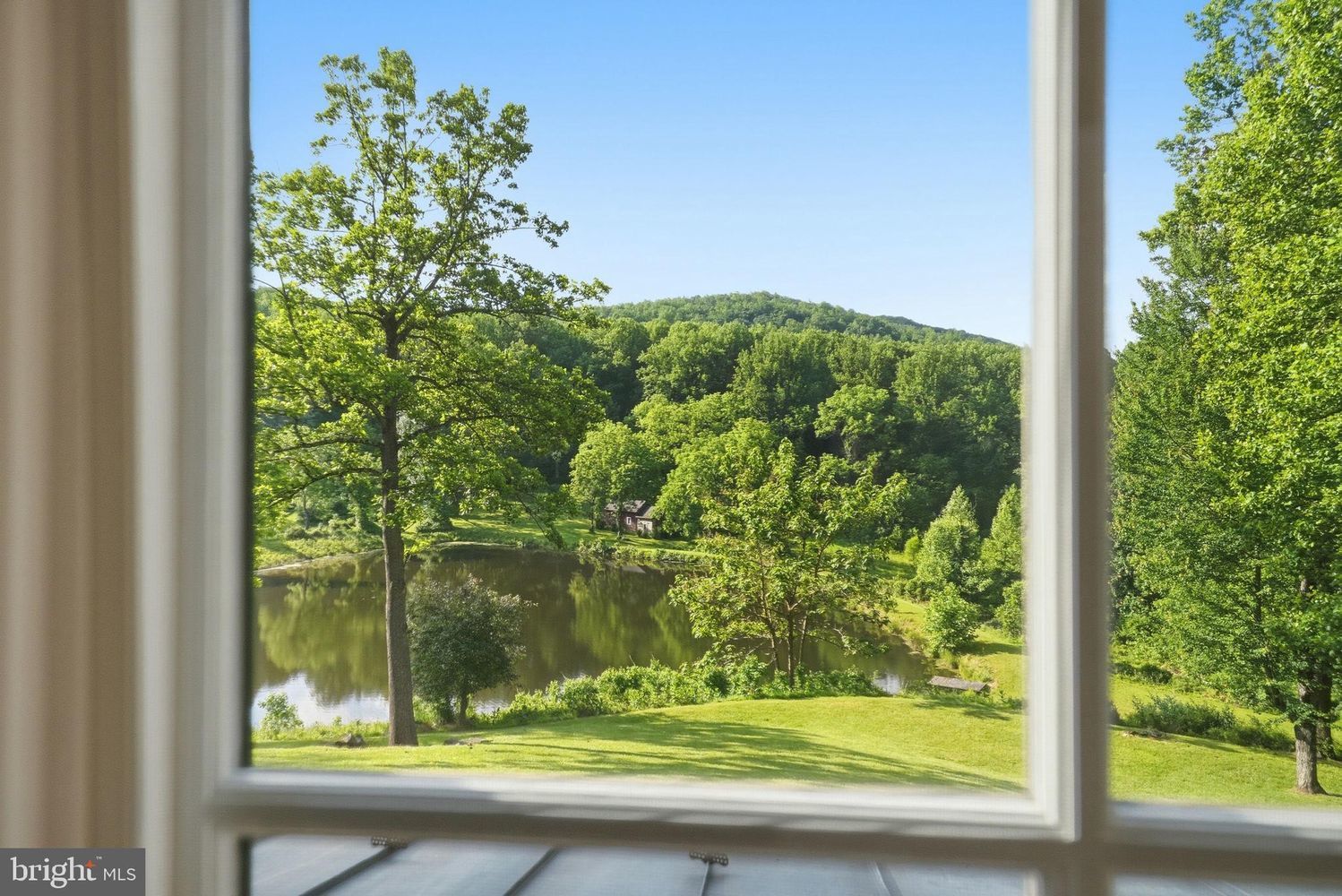 main property photo 54