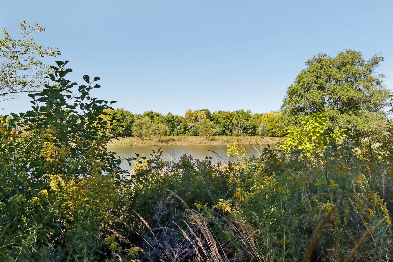 main property photo 49
