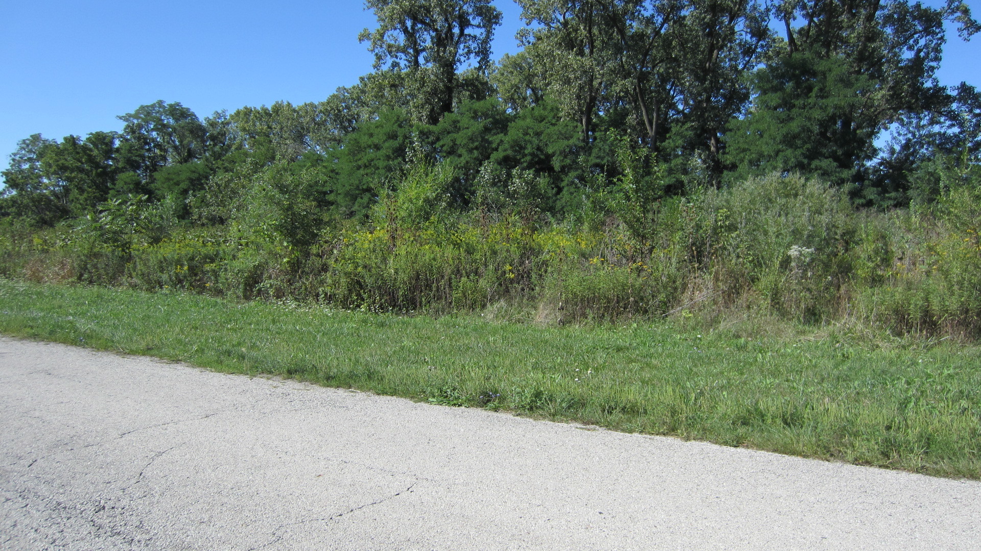 main property photo 4