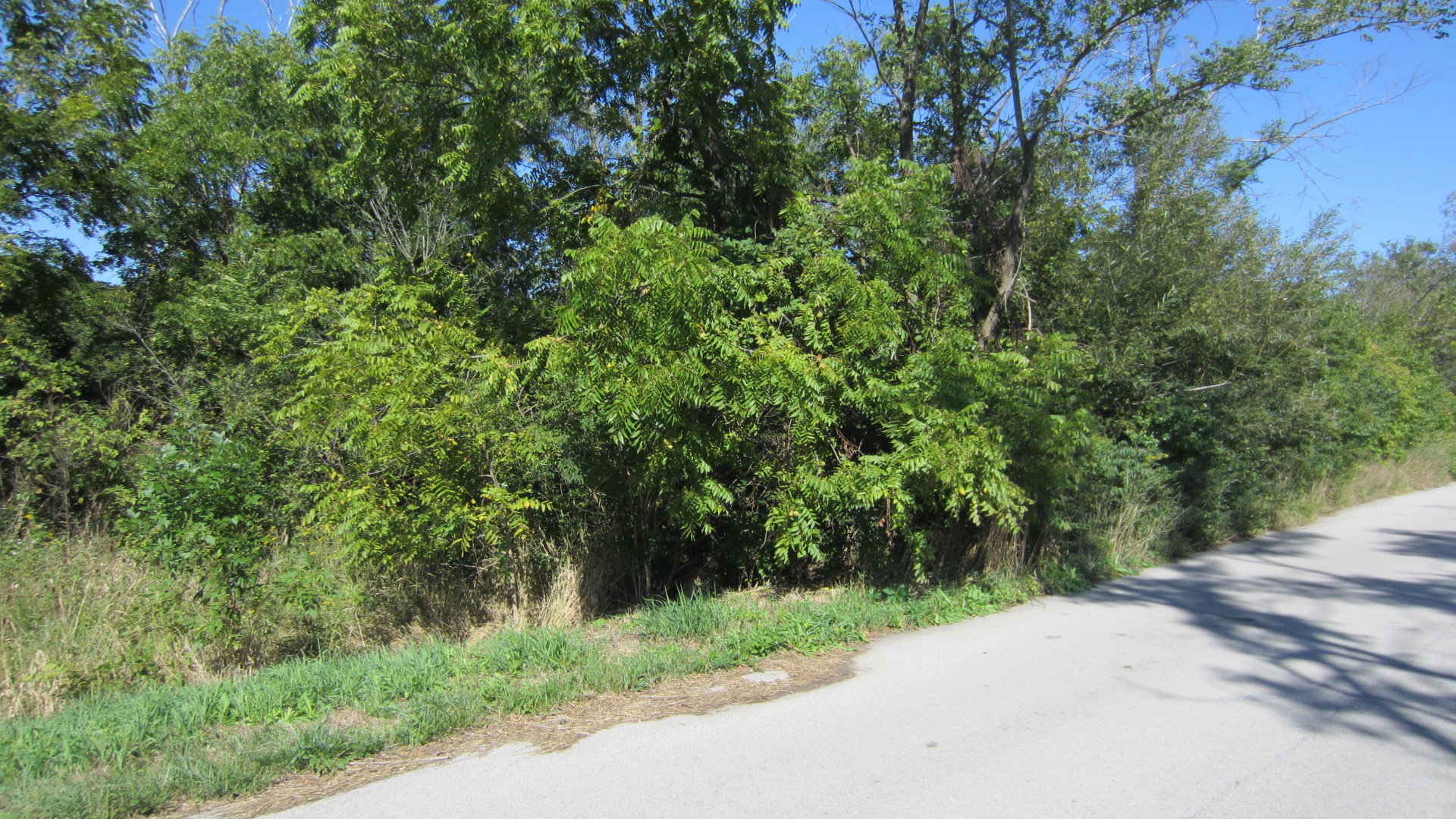 main property photo 9