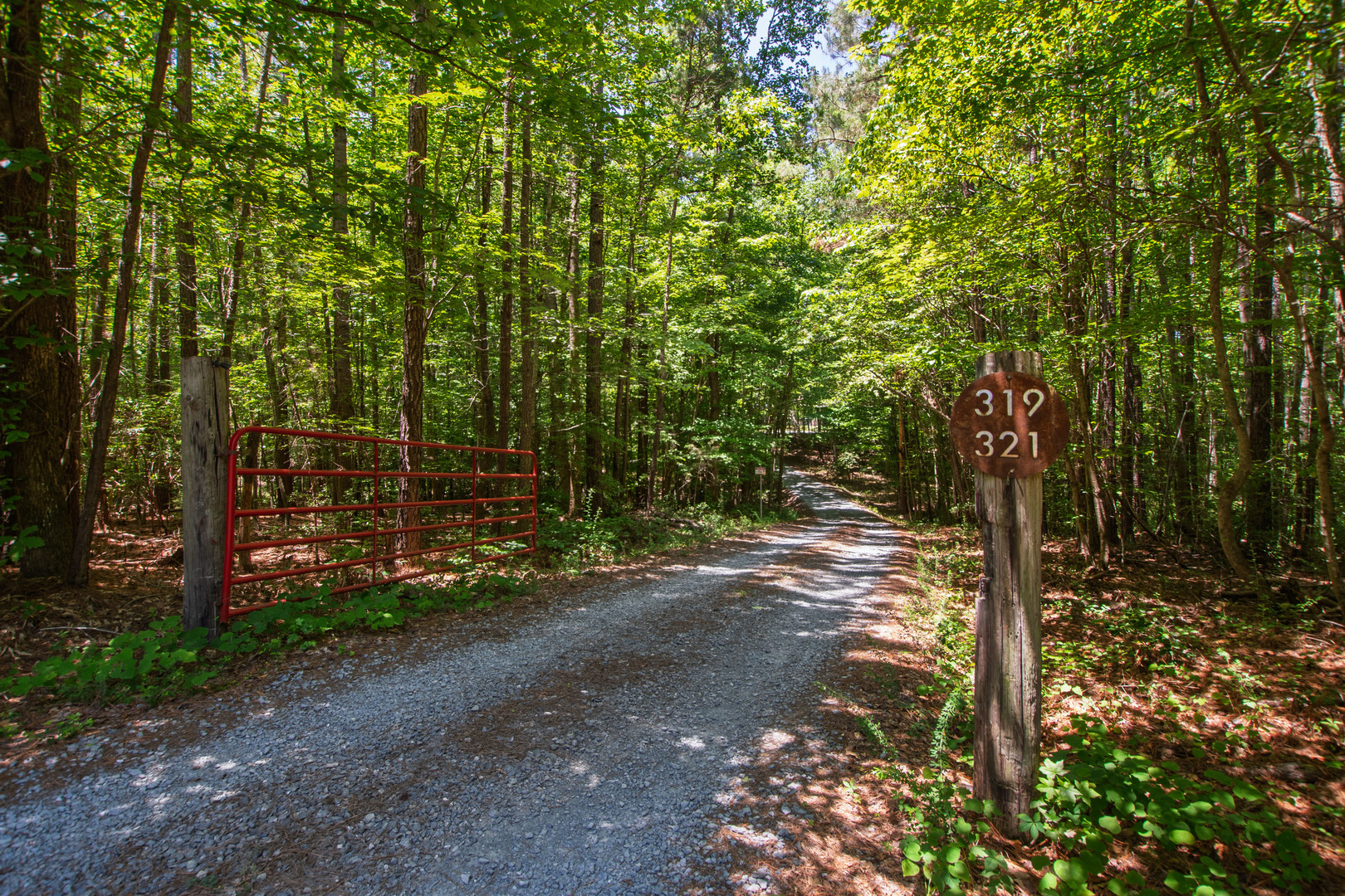 main property photo 54