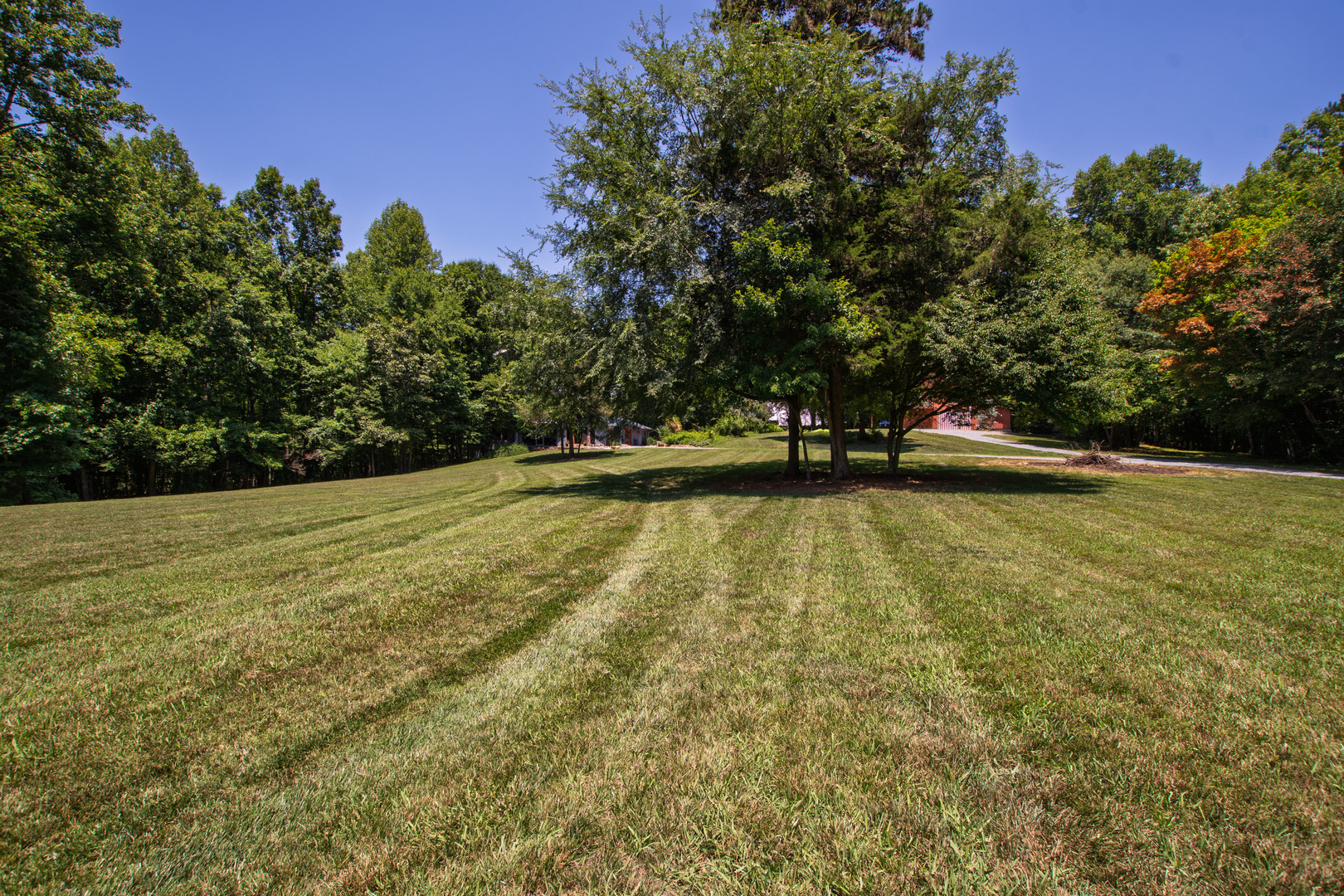 main property photo 55