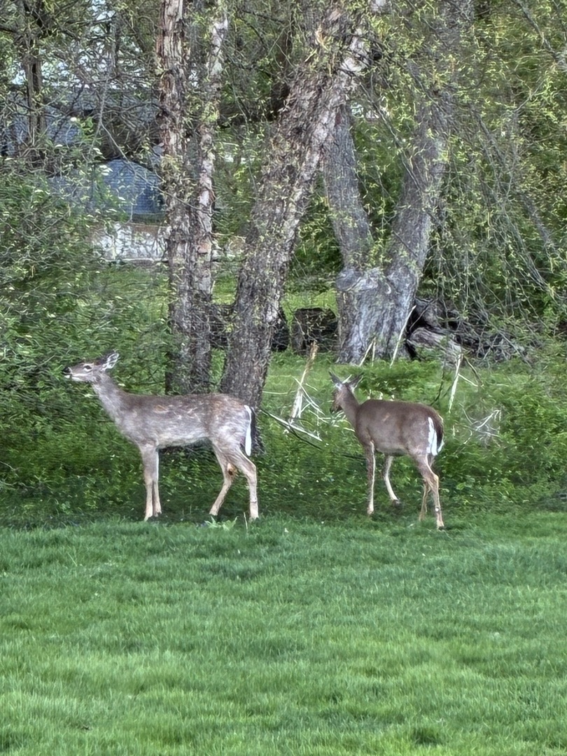 main property photo 54