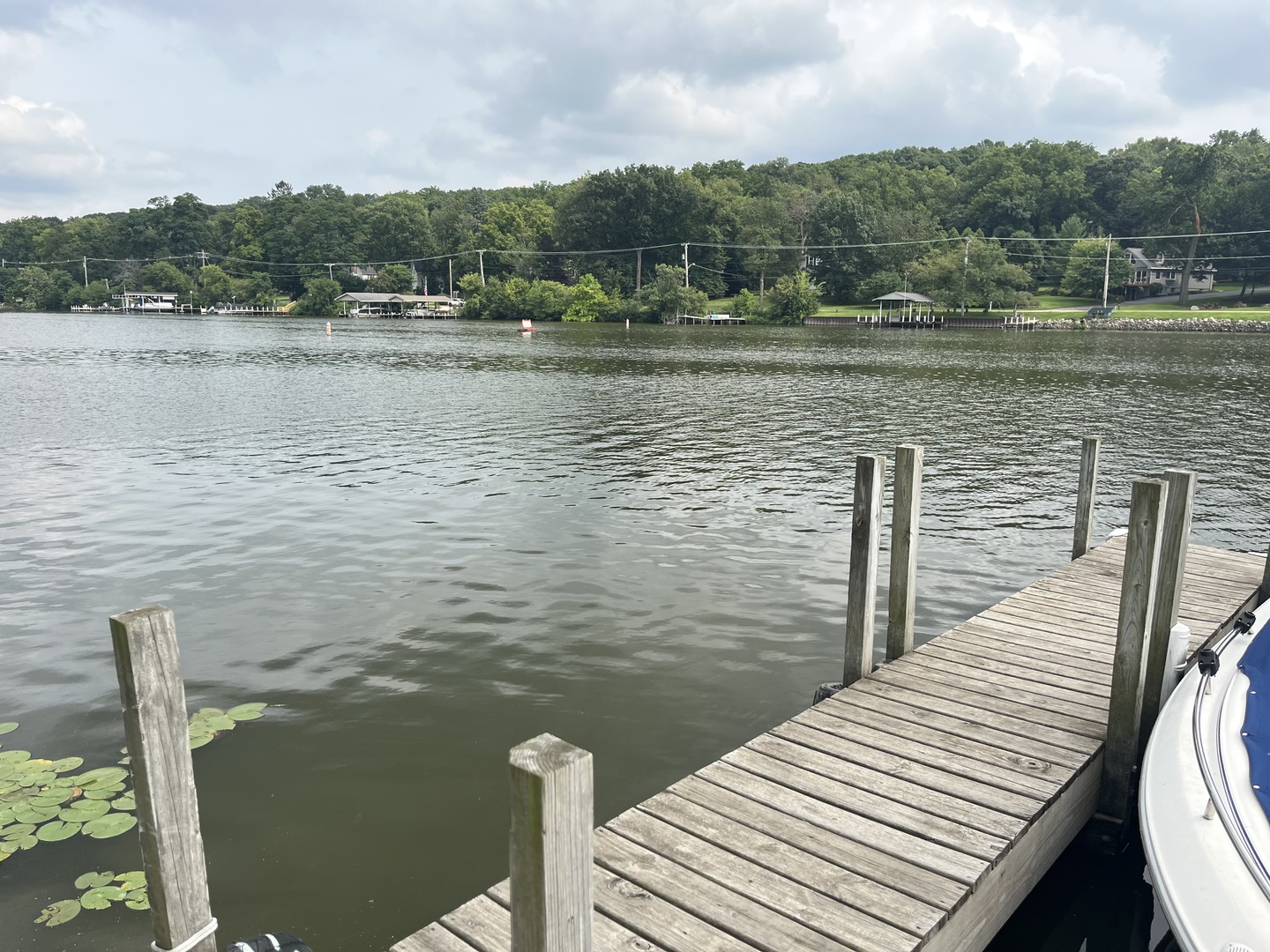 main property photo 59