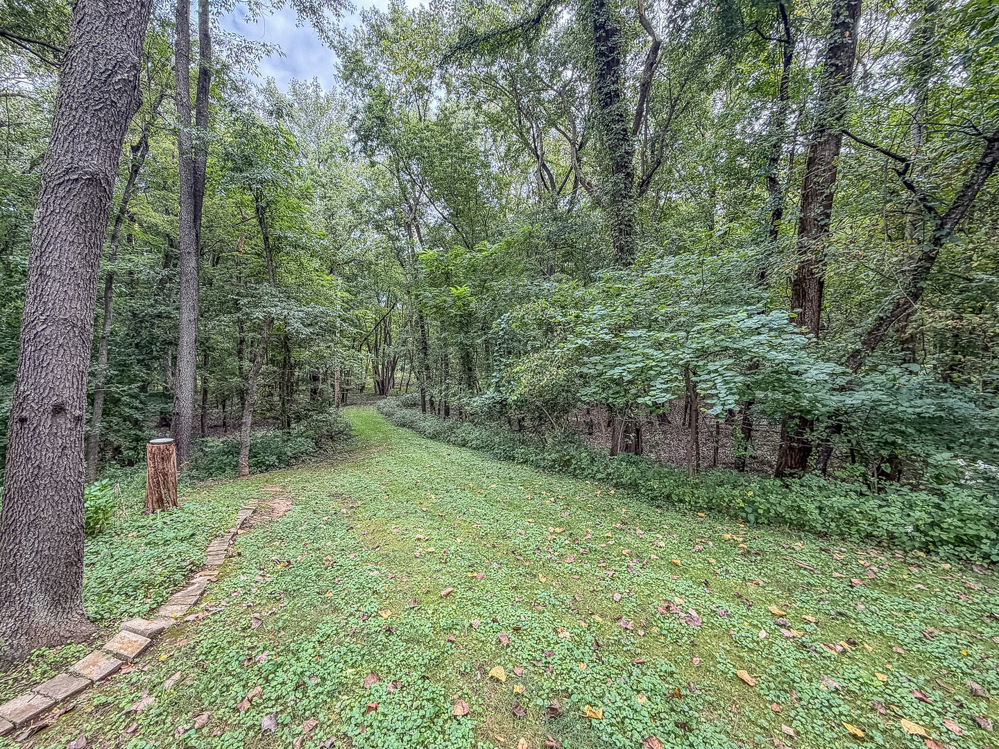 main property photo 52