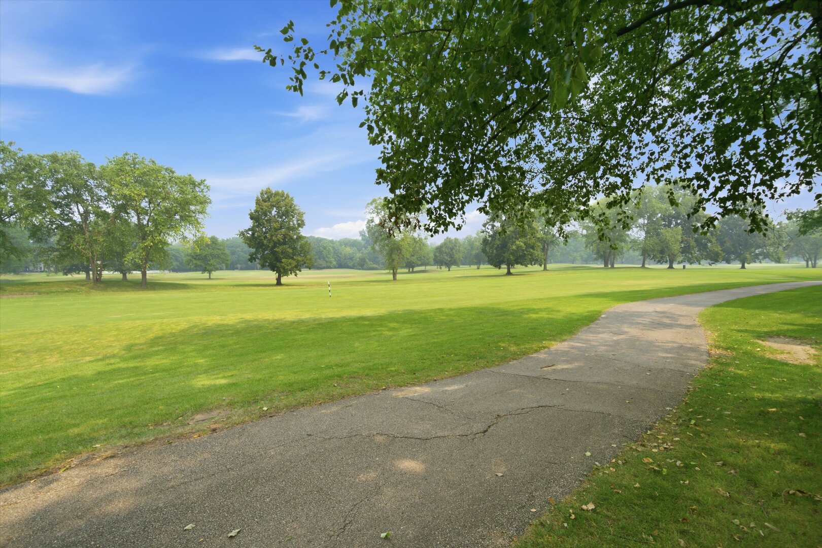 main property photo 31