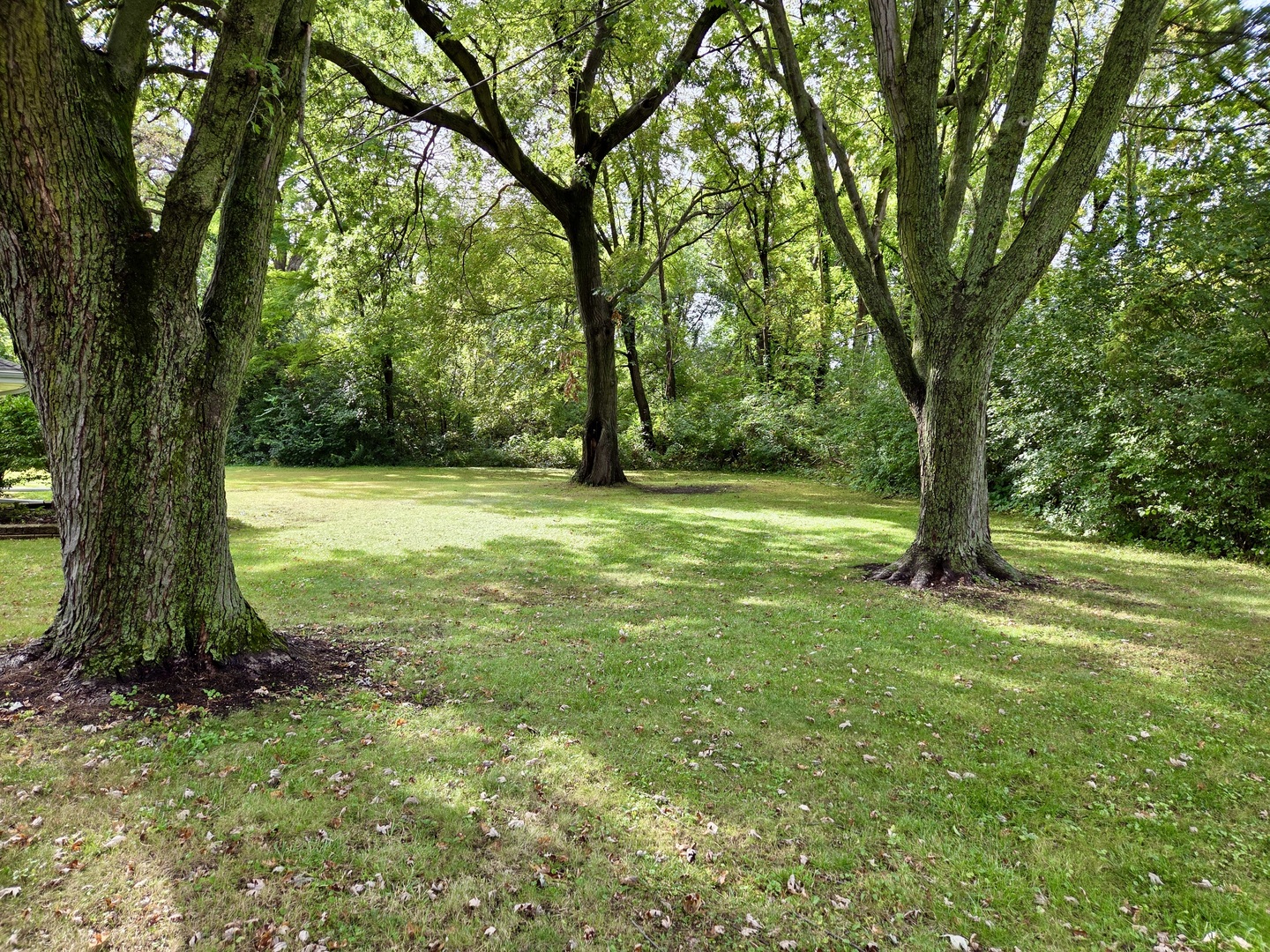 main property photo 40