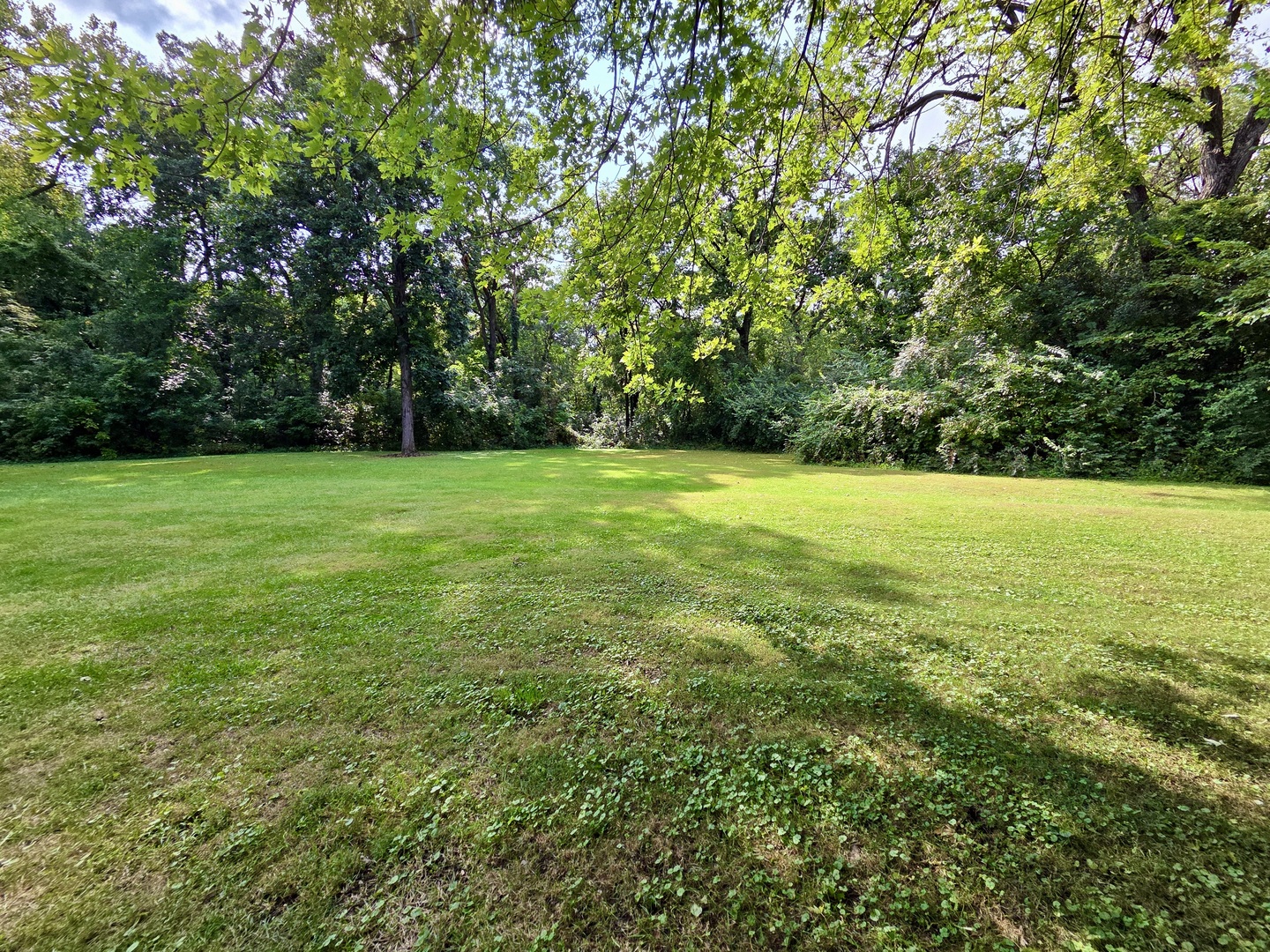 main property photo 41