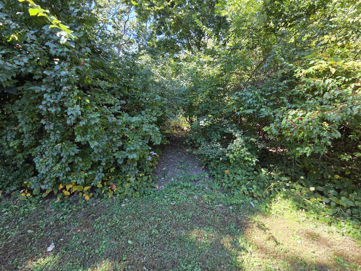 main property photo 42