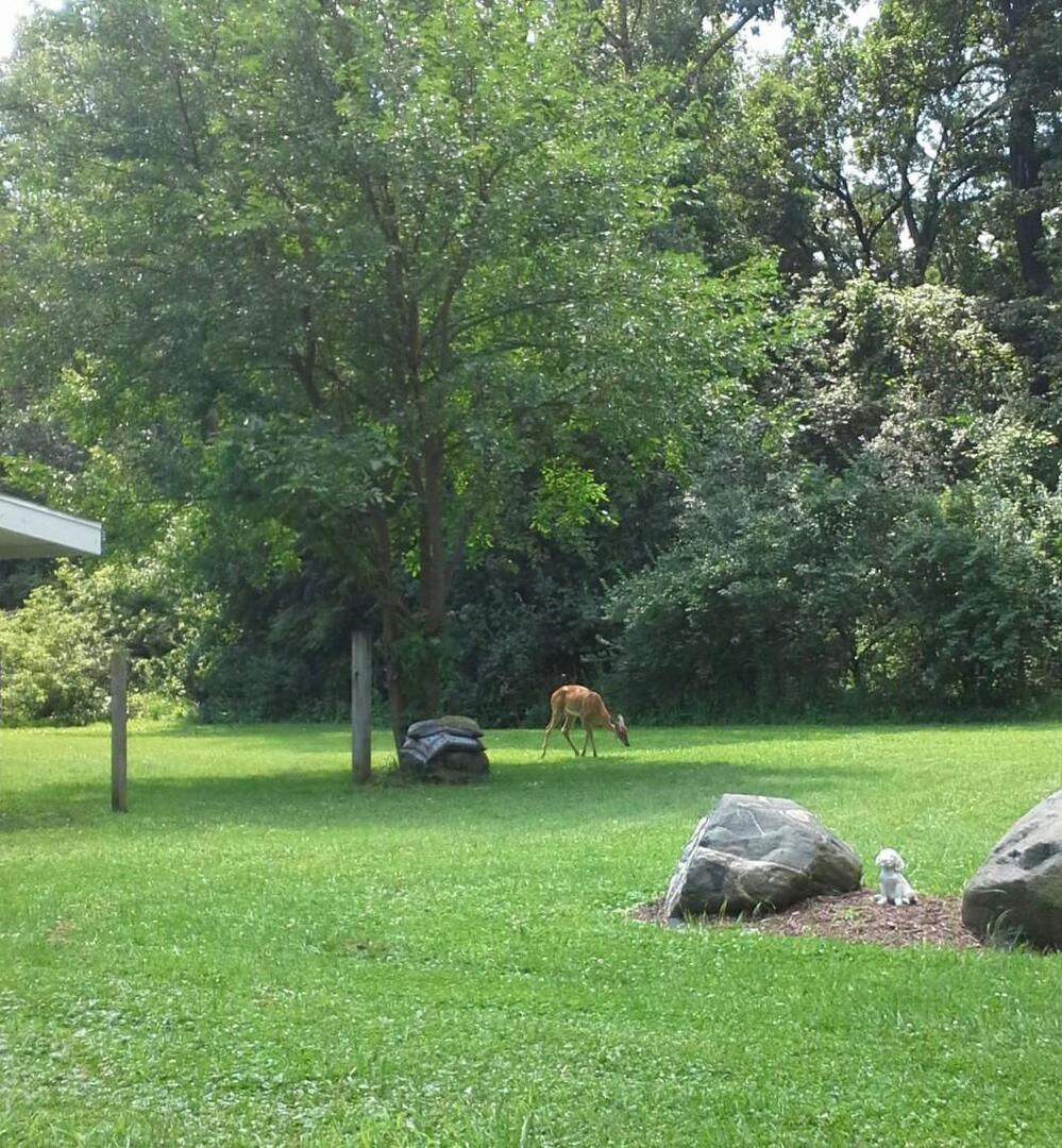main property photo 43