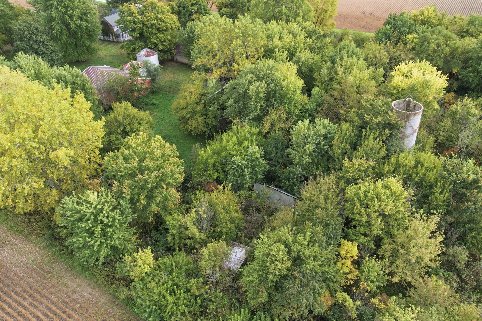 main property photo 15