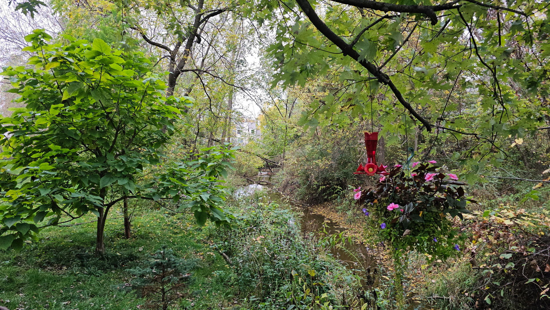 main property photo 38