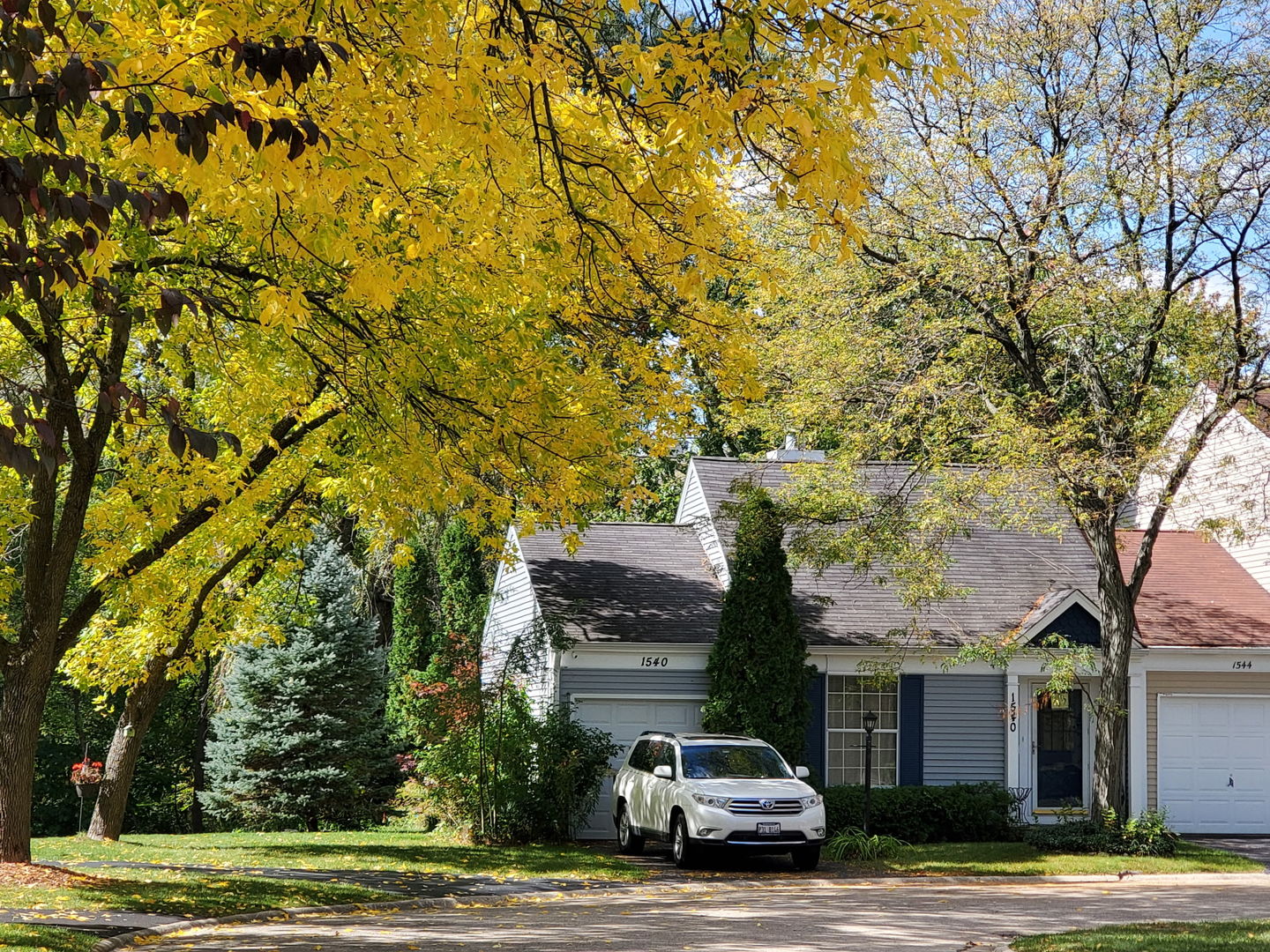 main property photo 41