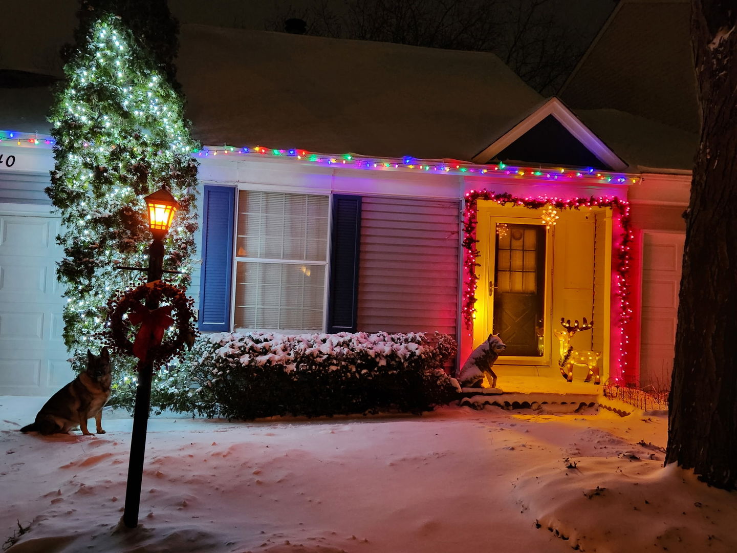 main property photo 42