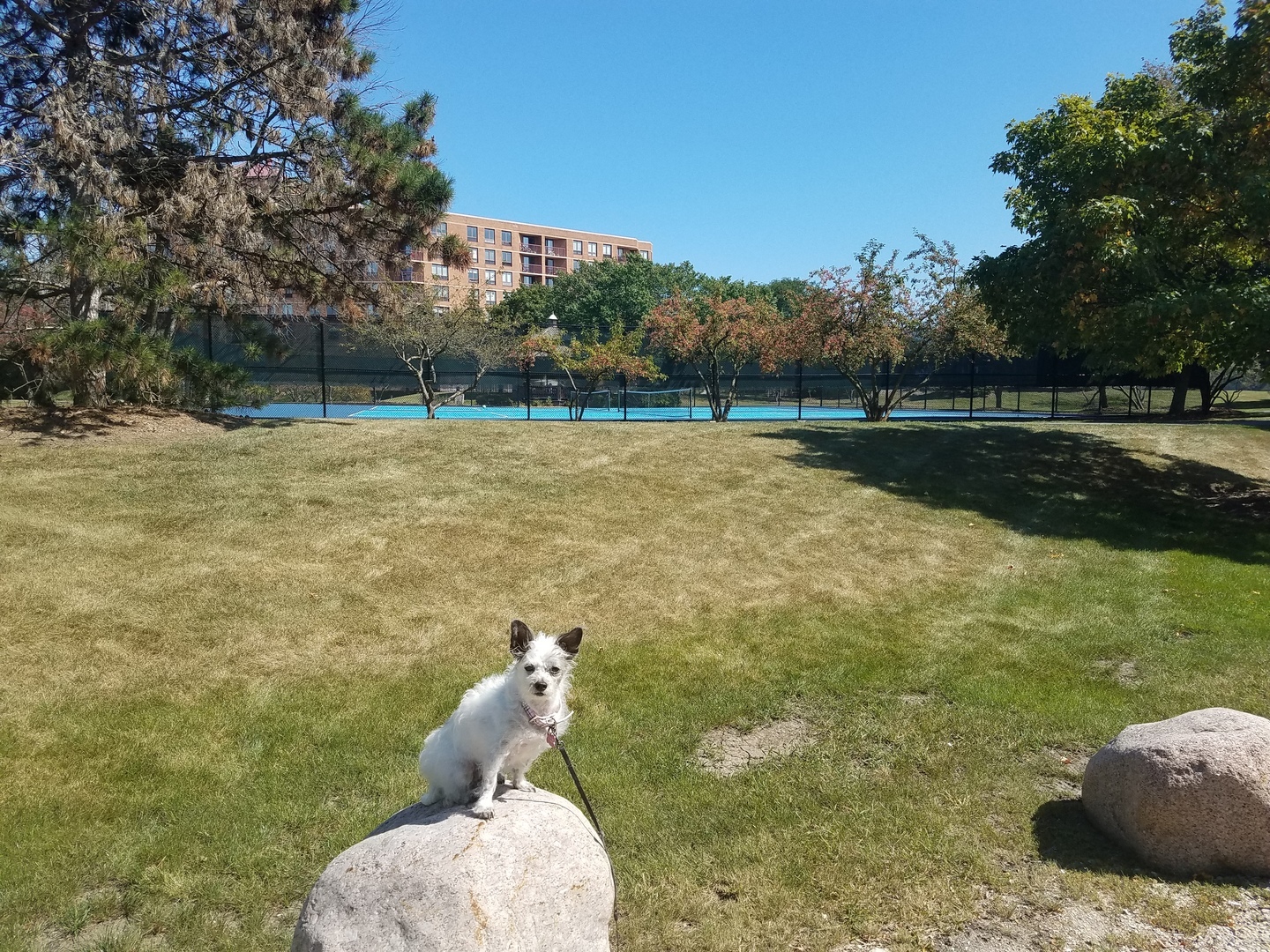 main property photo 43