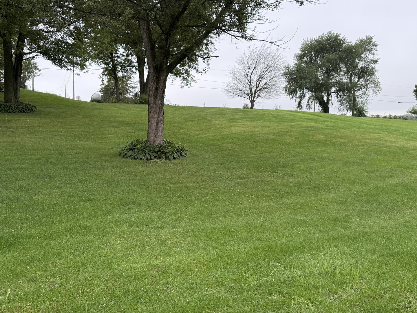 main property photo 51
