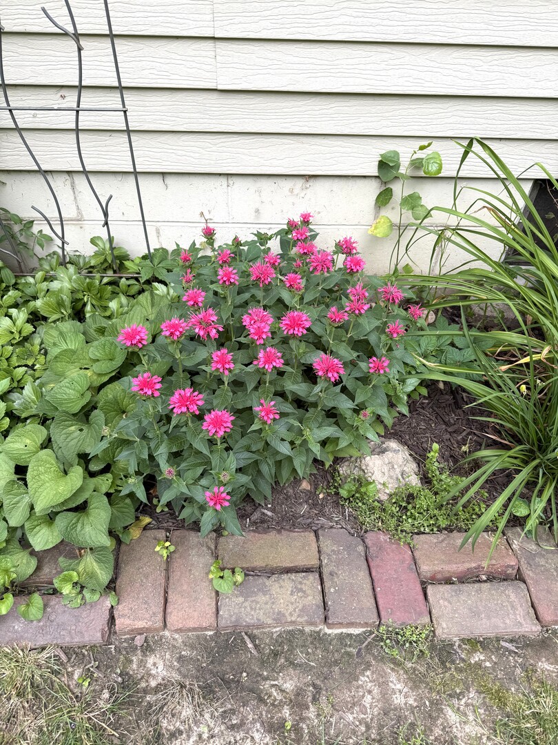 main property photo 33