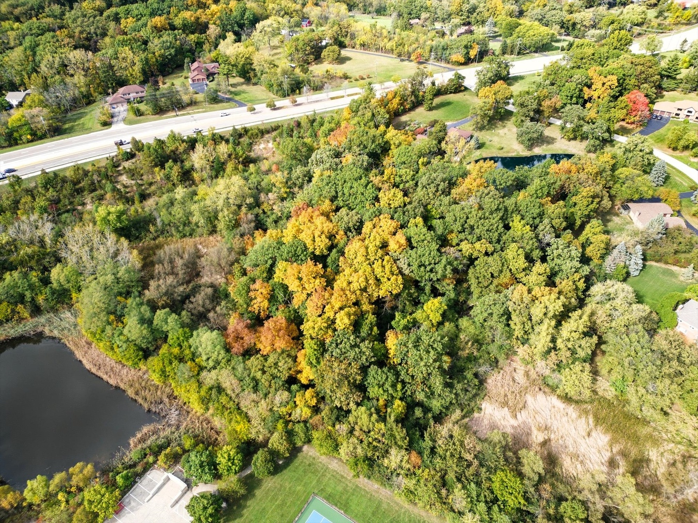 main property photo 7