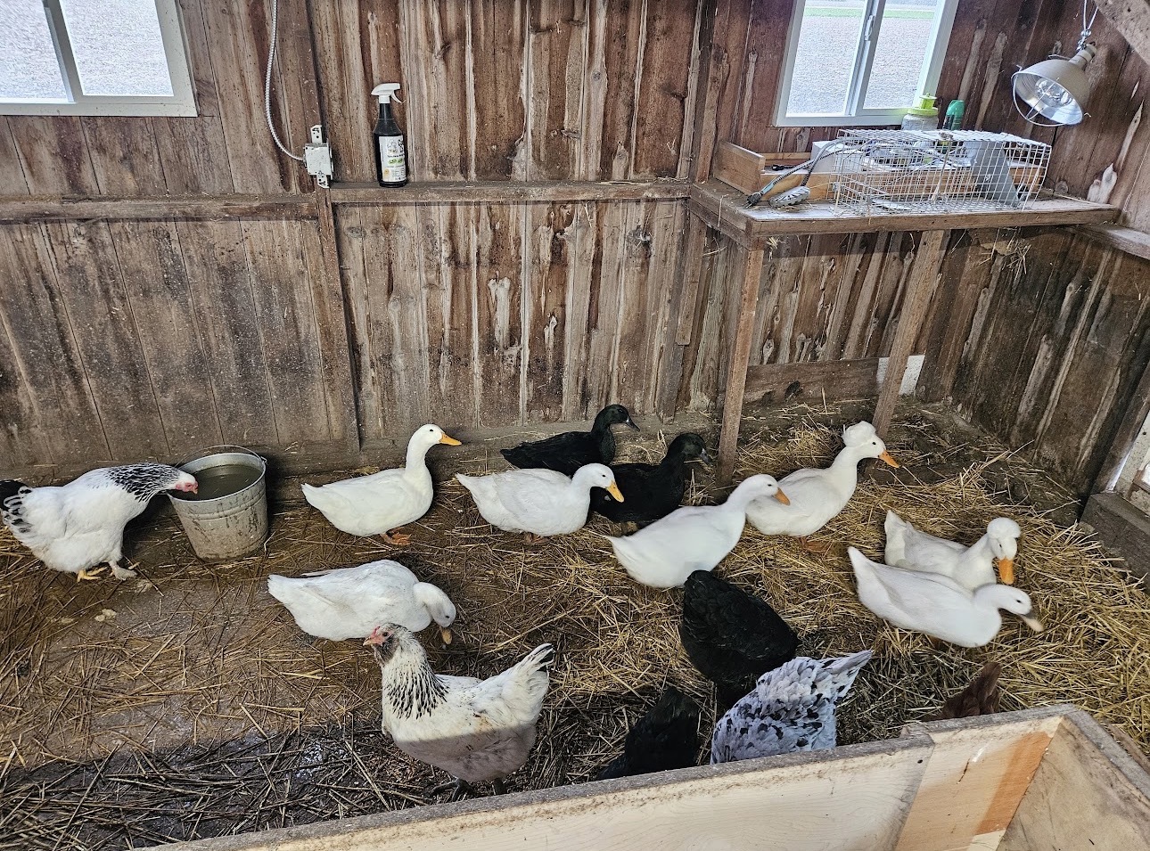 main property photo 99
