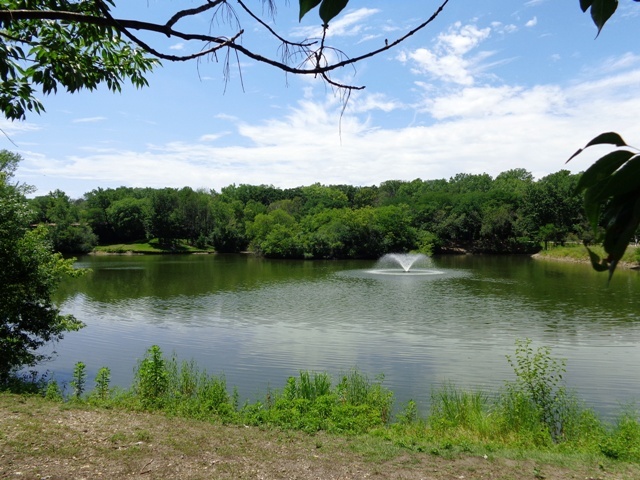 main property photo 13