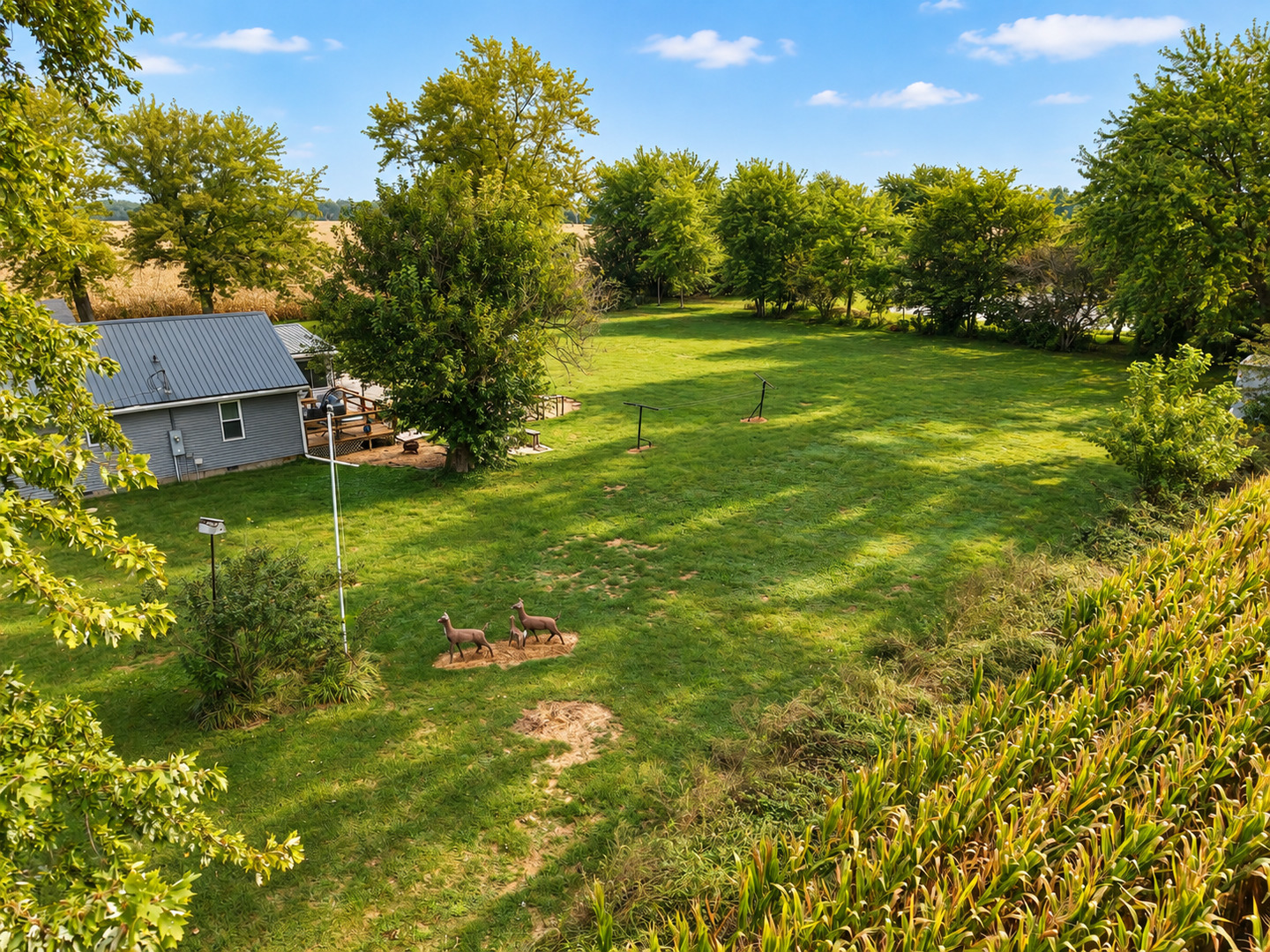 main property photo 63