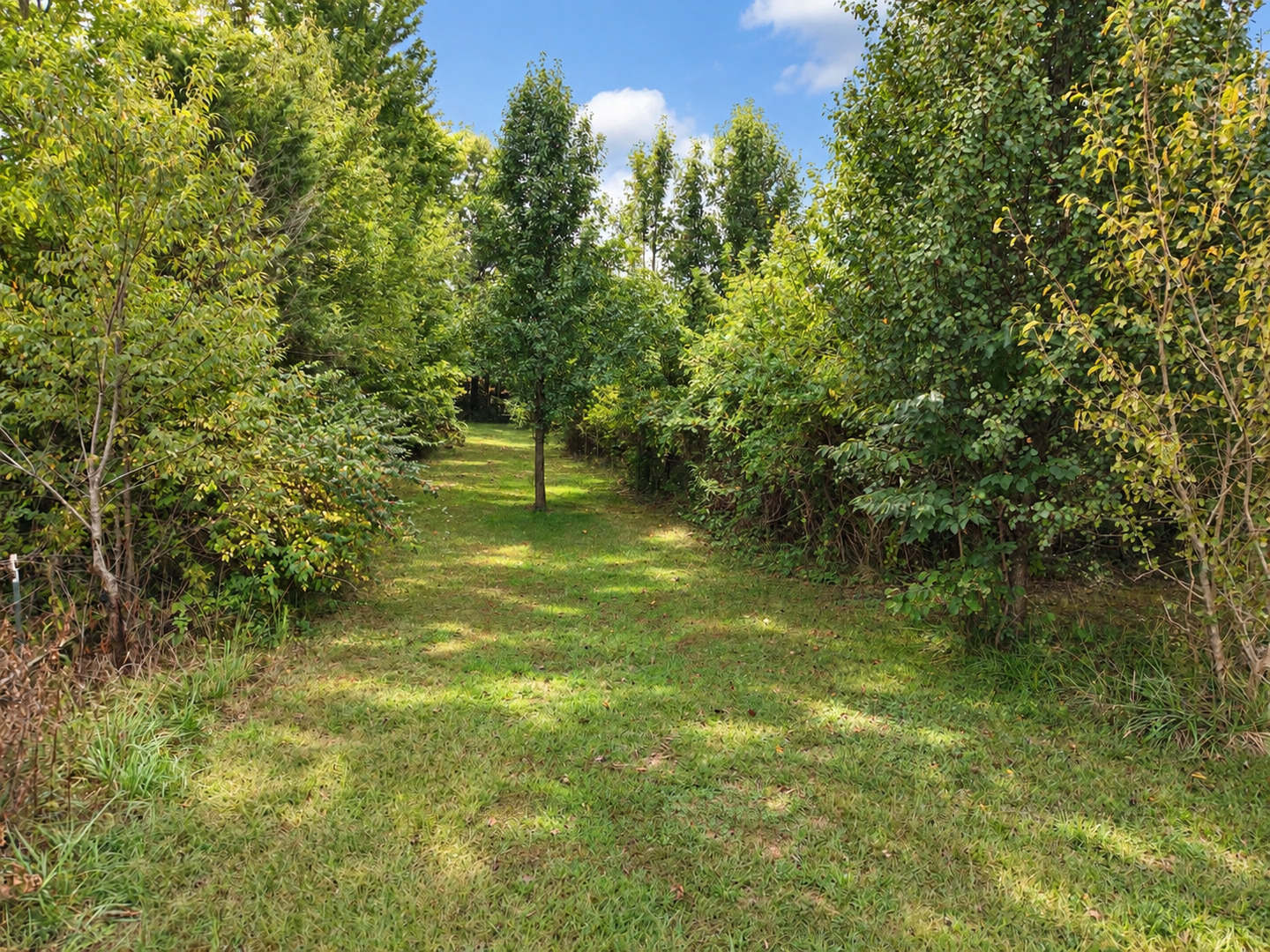 main property photo 68