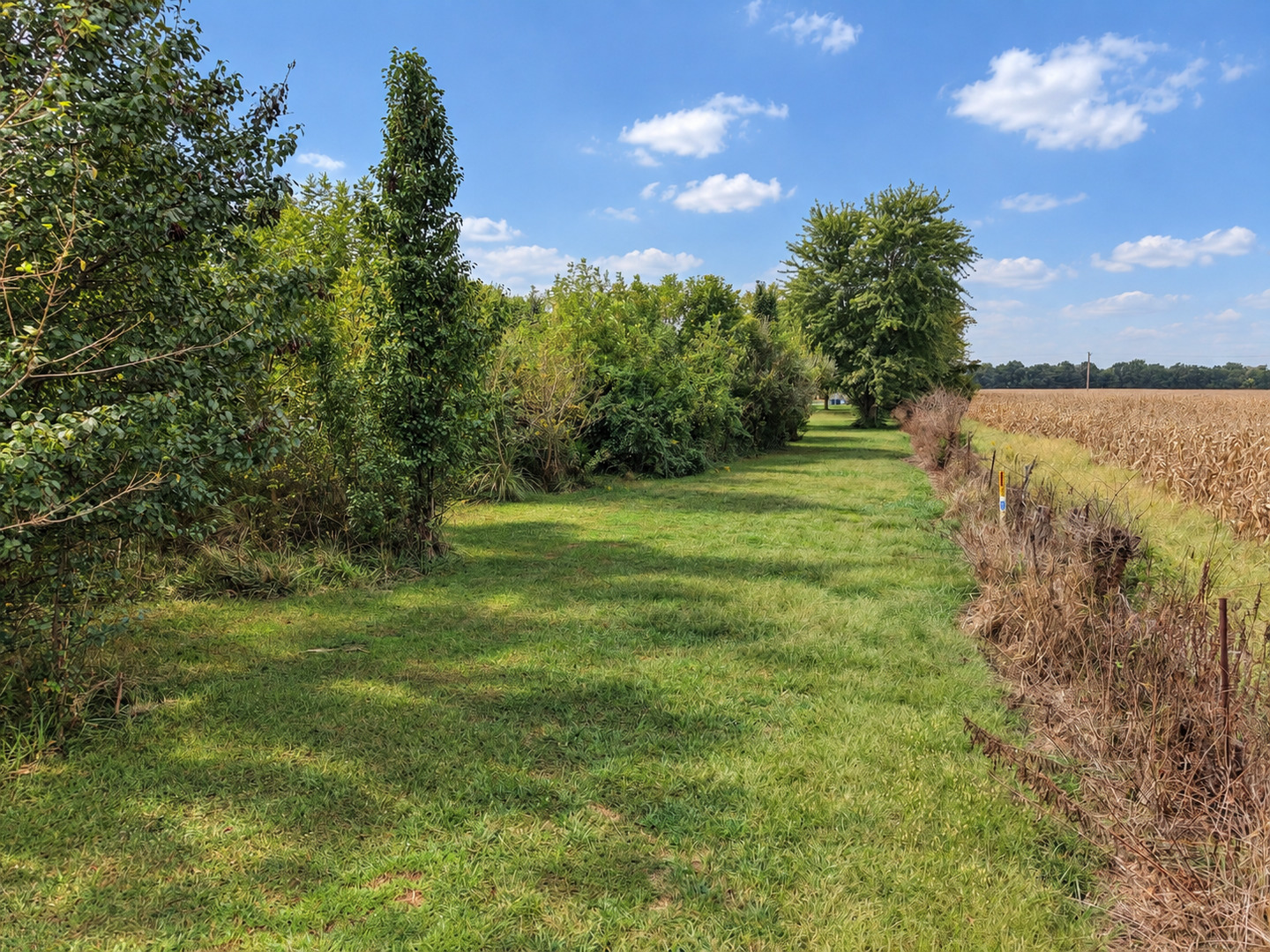 main property photo 69