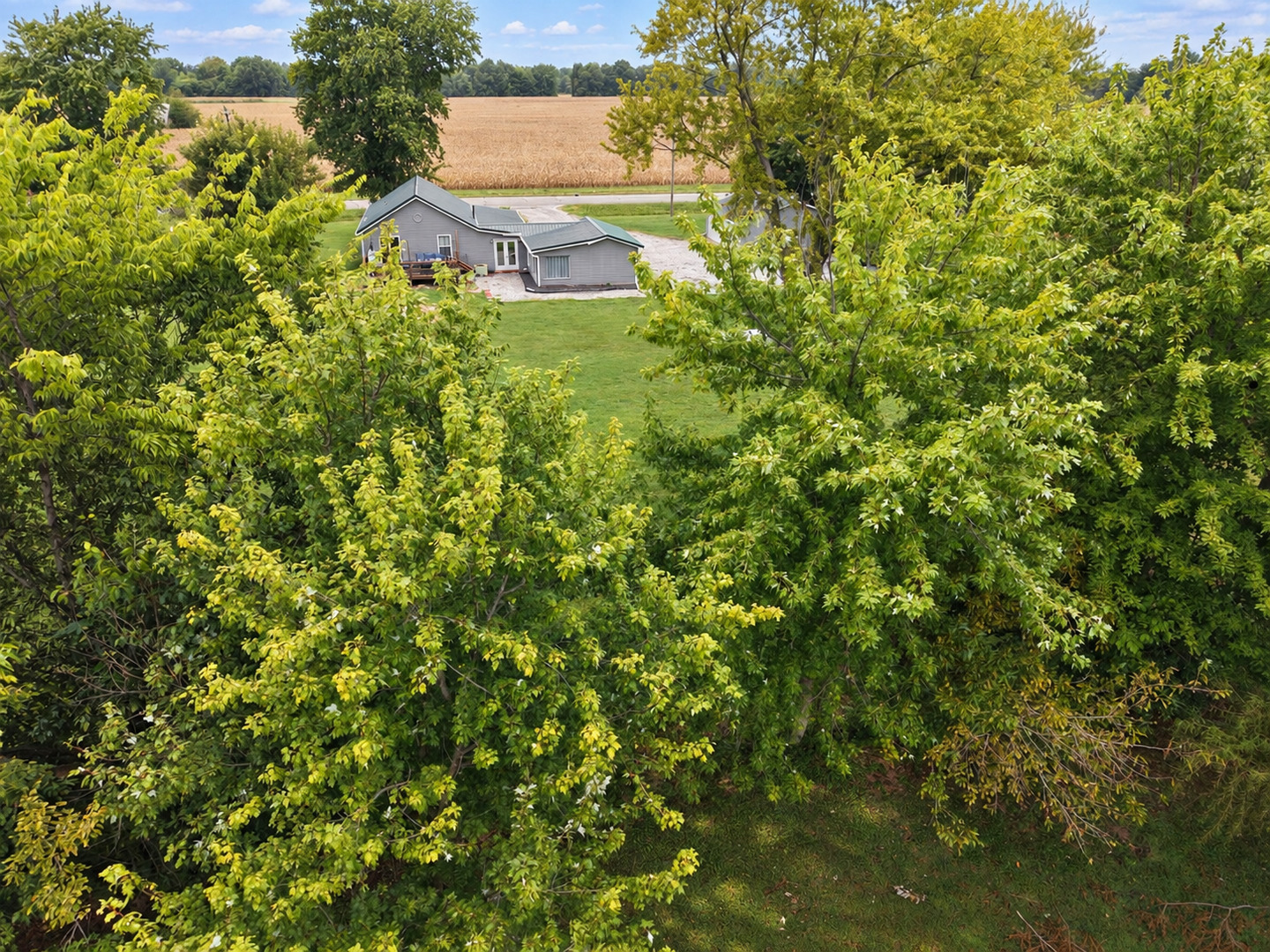 main property photo 81