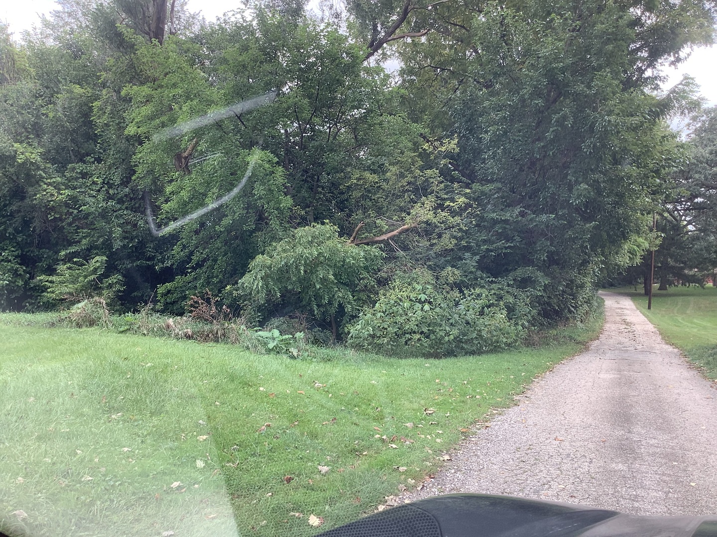 main property photo 6
