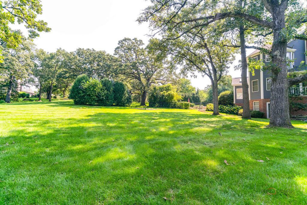 main property photo 56