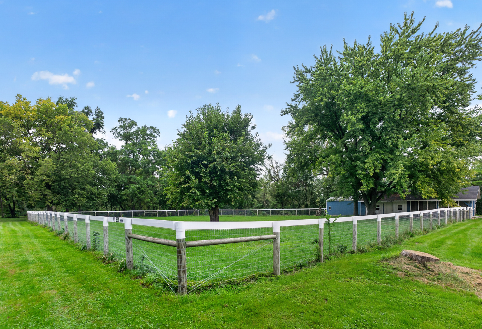 main property photo 58