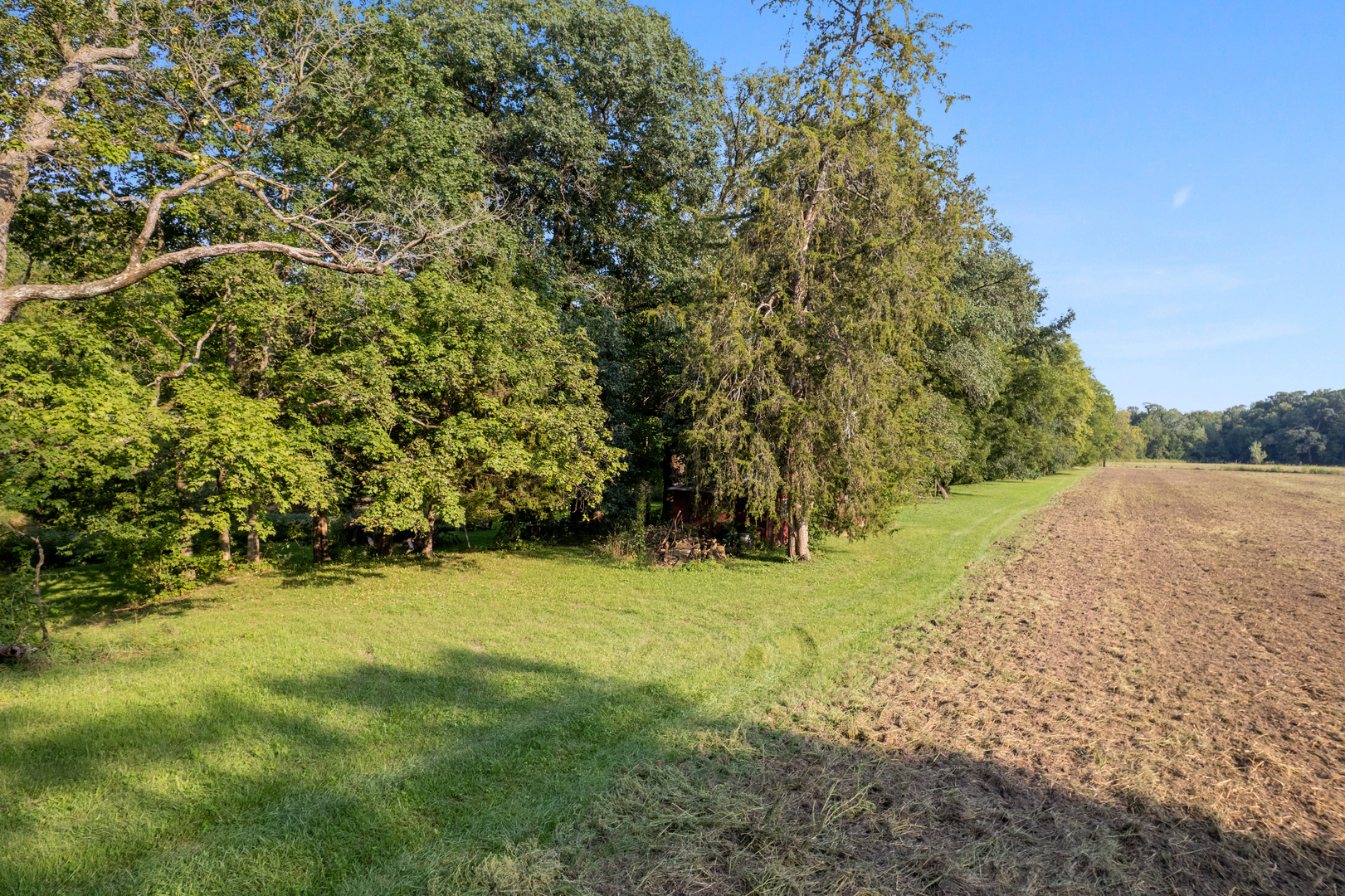 main property photo 14