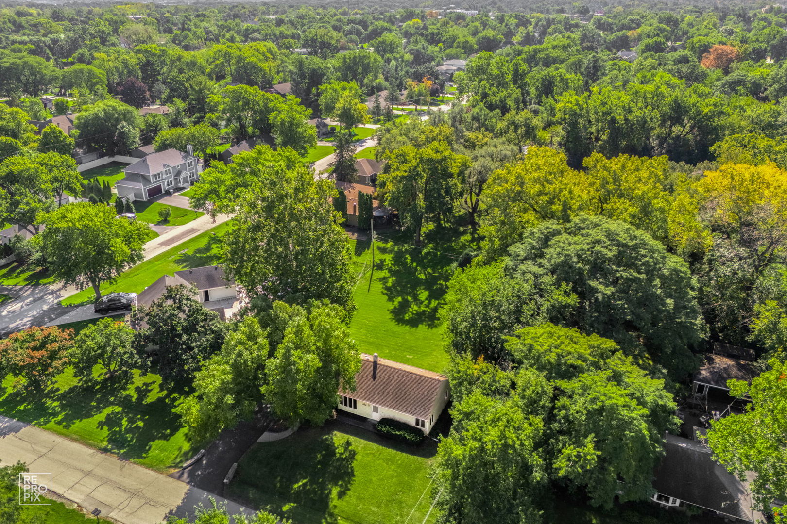 main property photo 7
