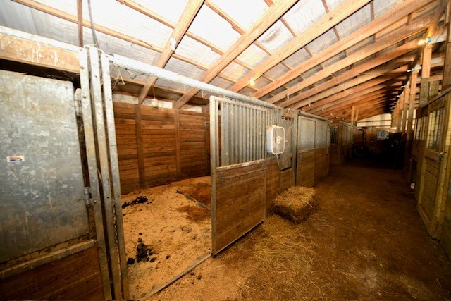 main property photo 12