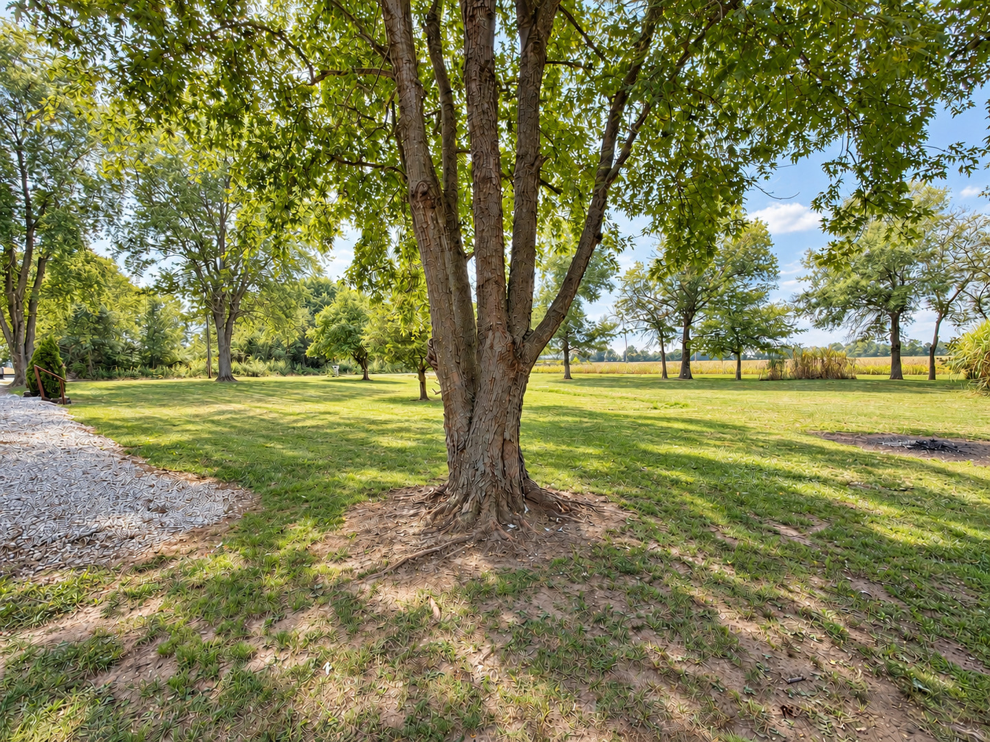 main property photo 67