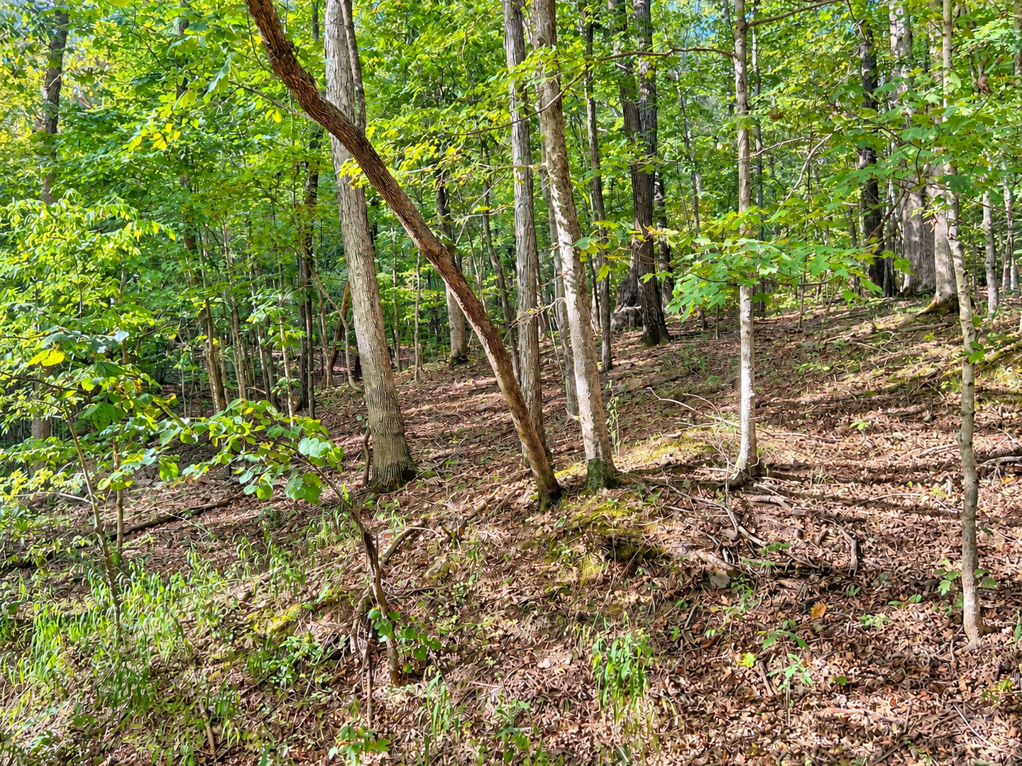 main property photo 0