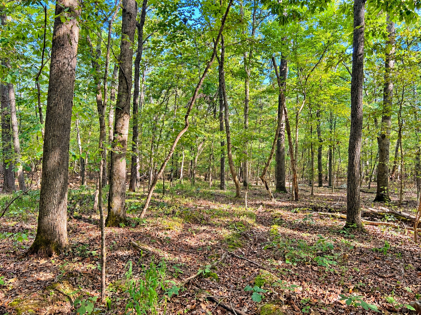 main property photo 10