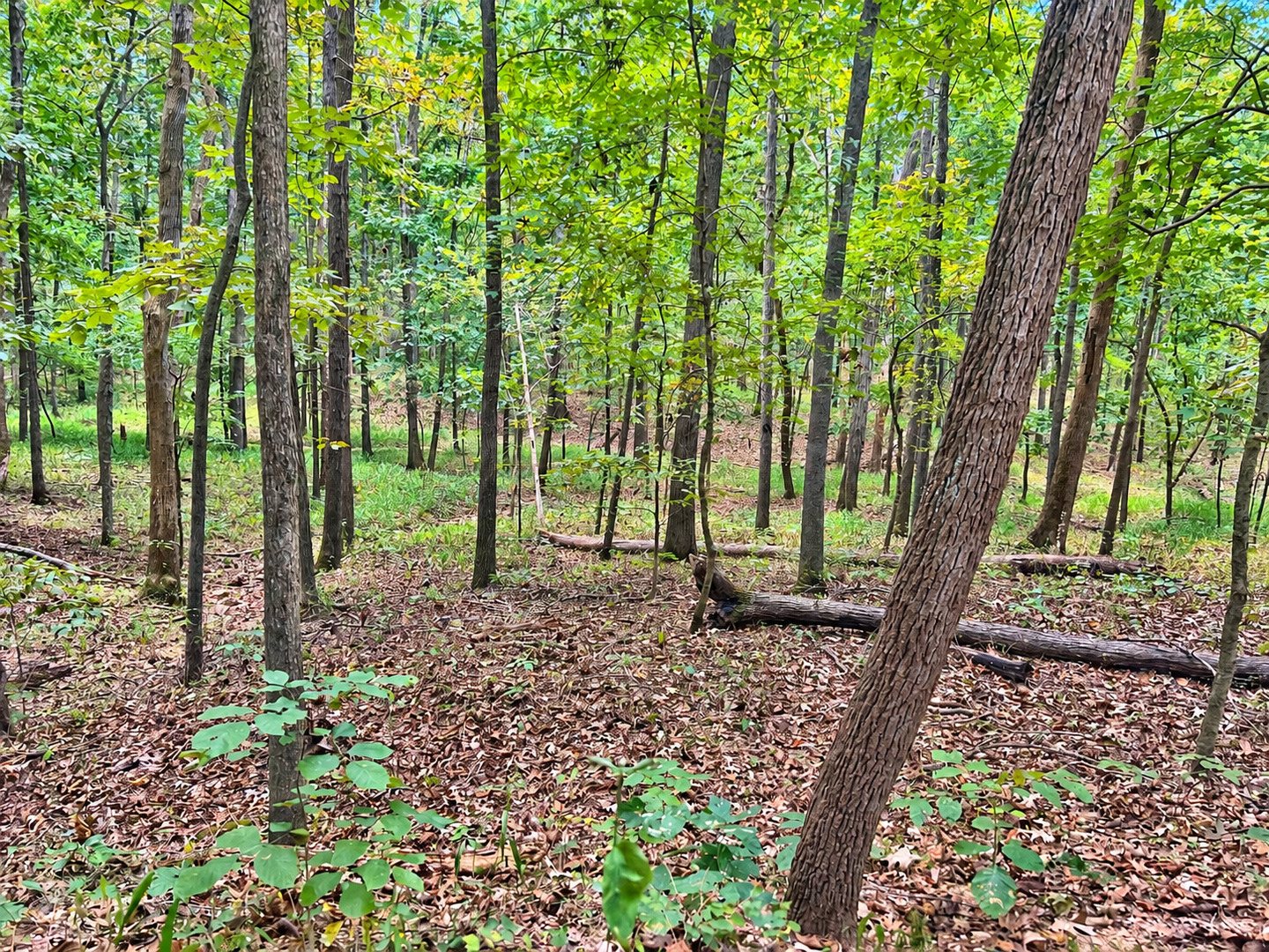 main property photo 7