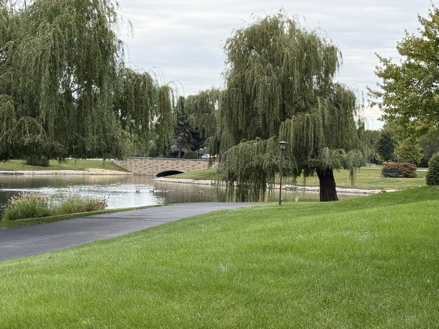 main property photo 19