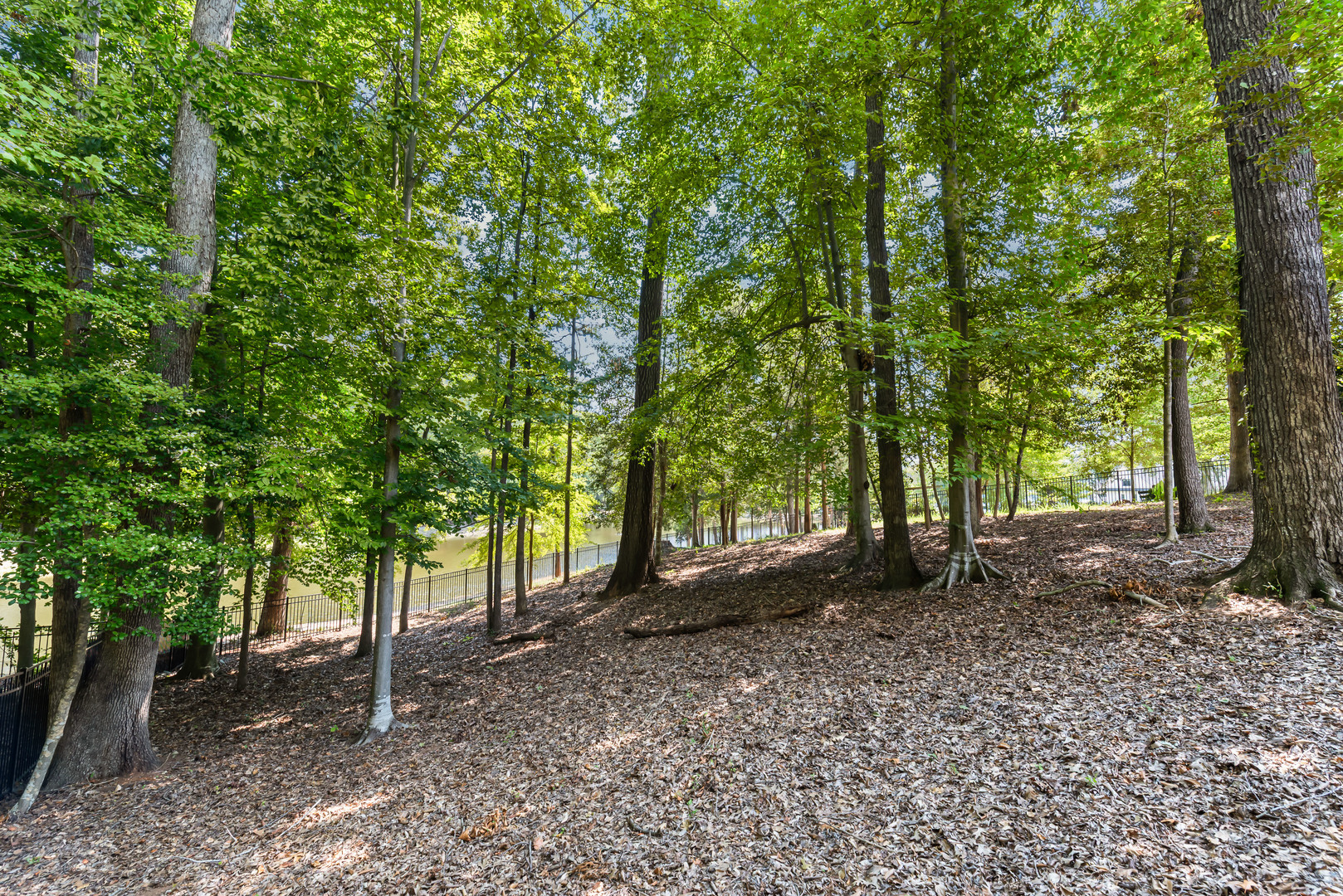 main property photo 36