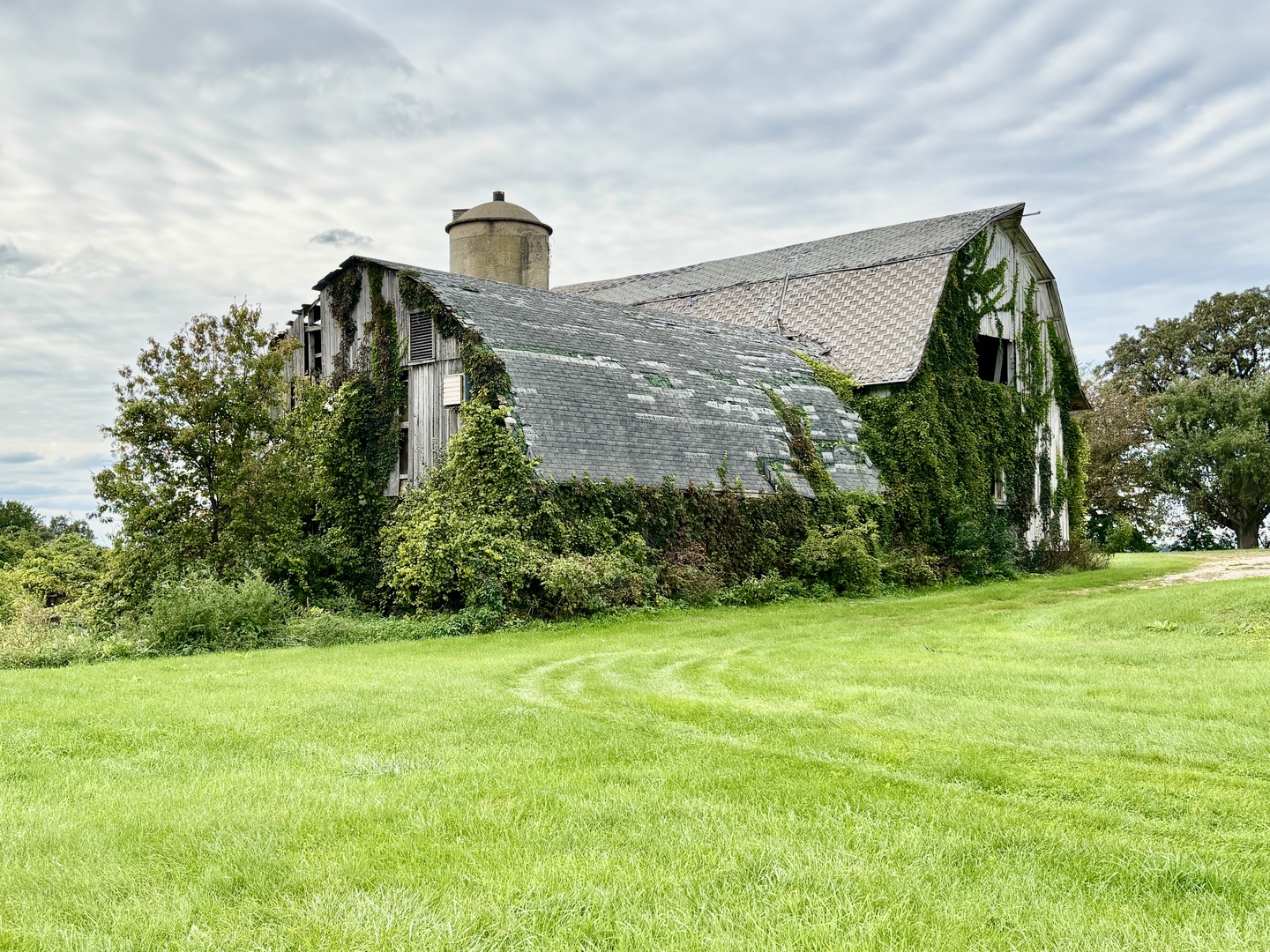 main property photo 32