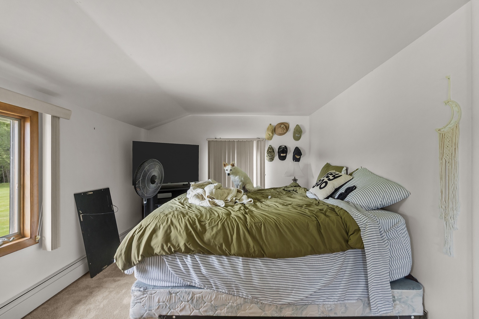 main property photo 59
