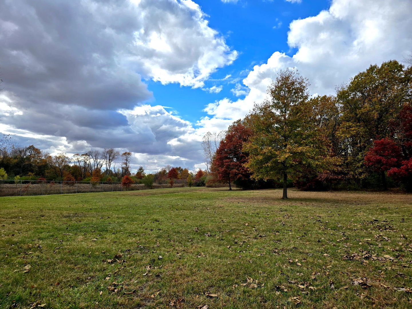 main property photo 14
